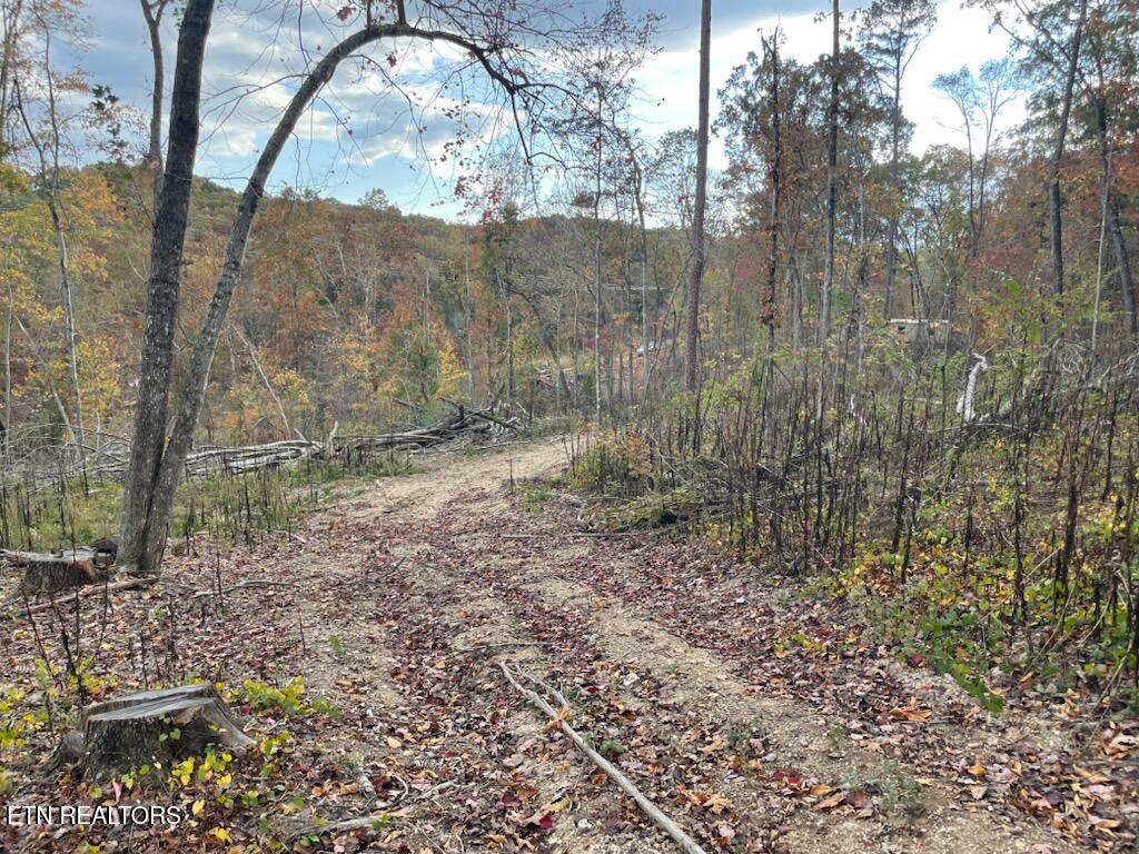 1707 Paint Rock Ferry Road Kingston TN 37763