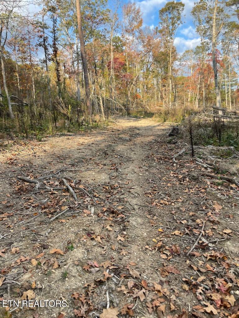 1707 Paint Rock Ferry Road Kingston TN 37763