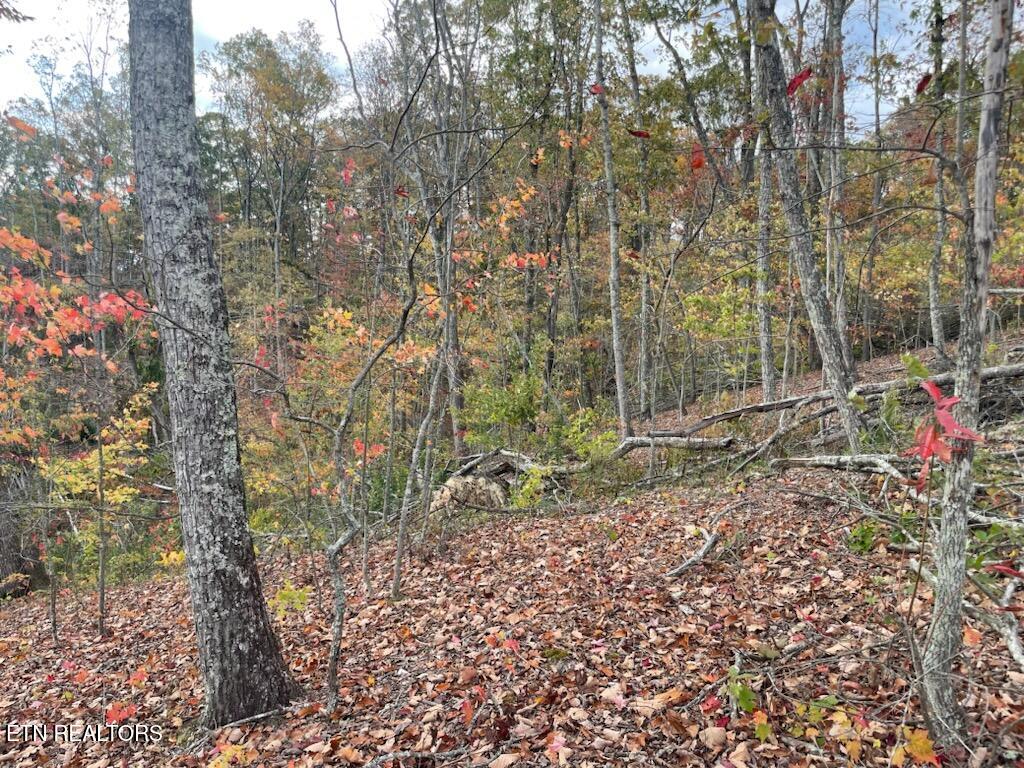 1707 Paint Rock Ferry Road Kingston TN 37763