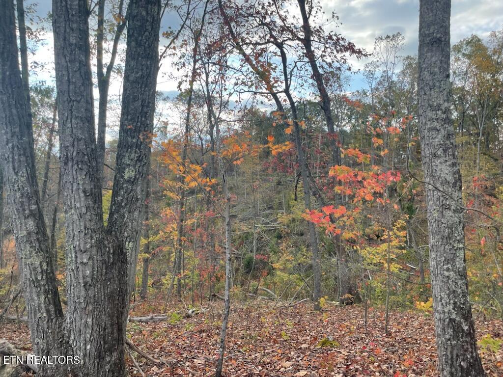 1707 Paint Rock Ferry Road Kingston TN 37763