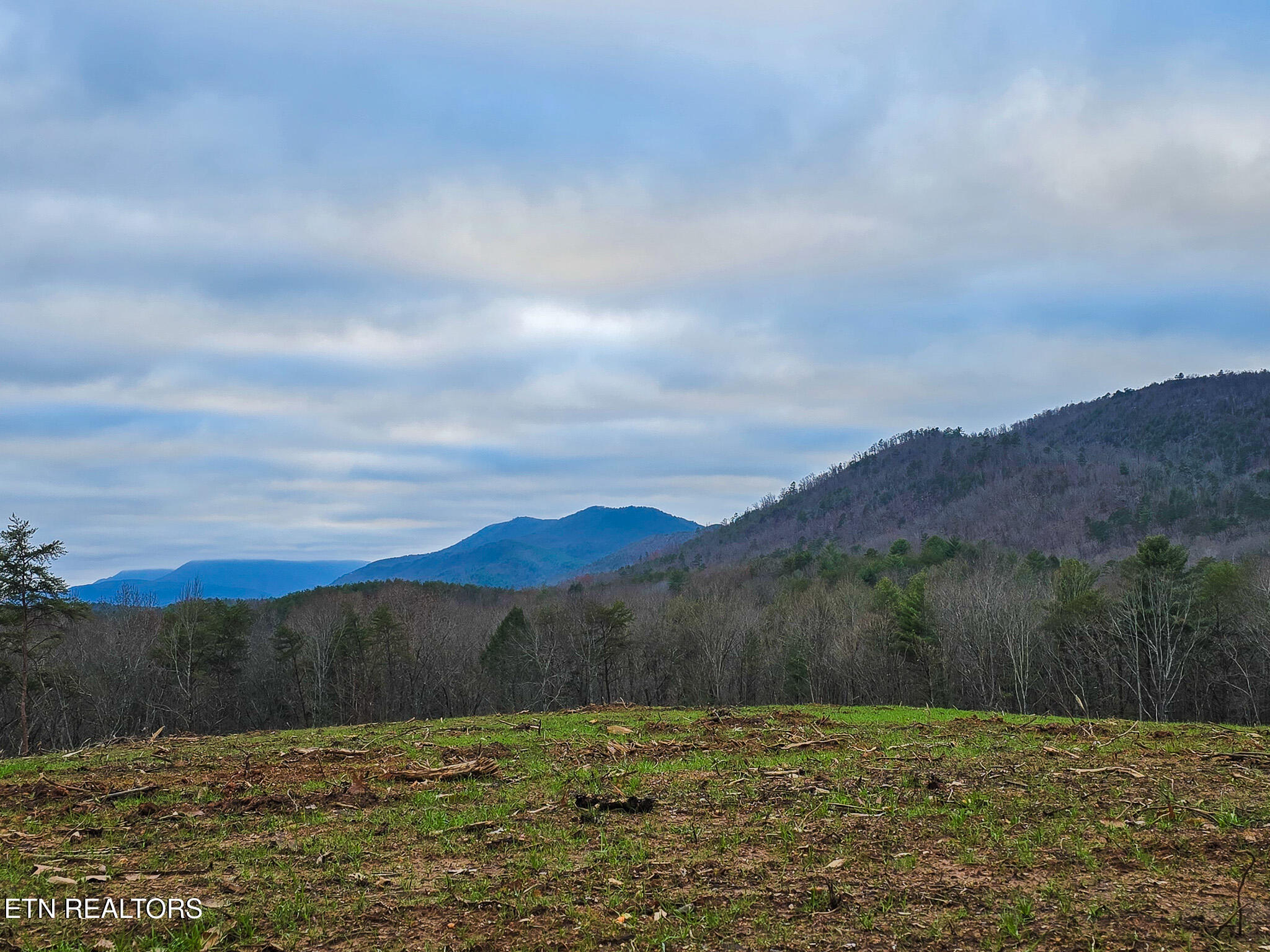 Creek Road Reliance TN 37369