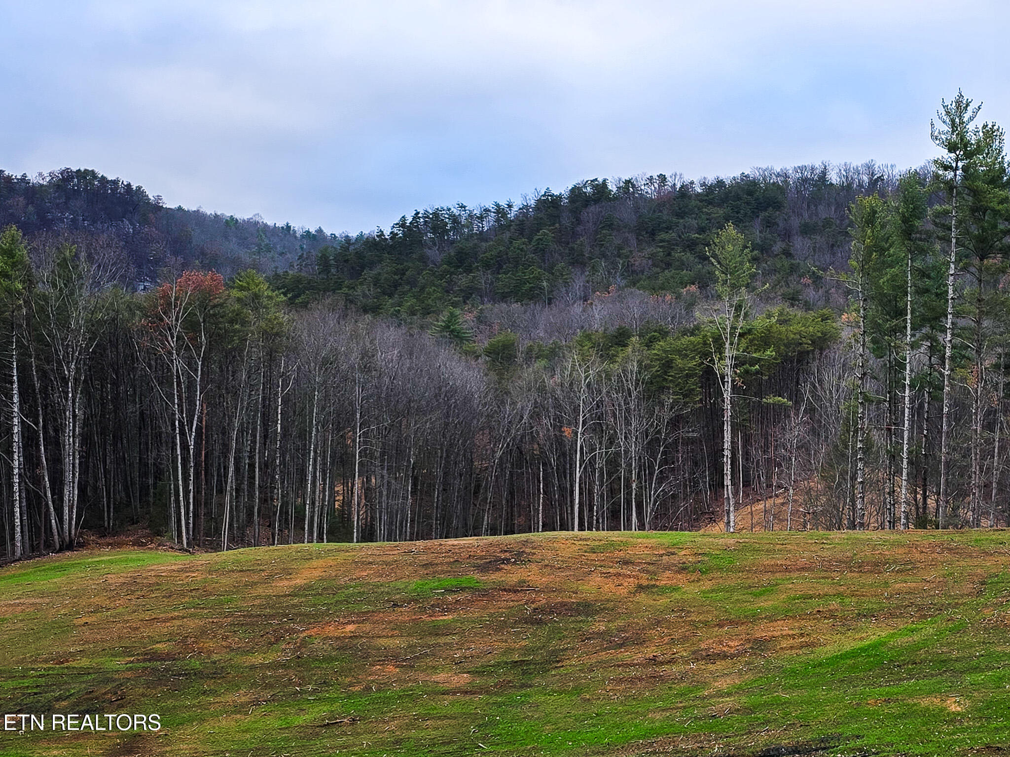 Creek Road Reliance TN 37369