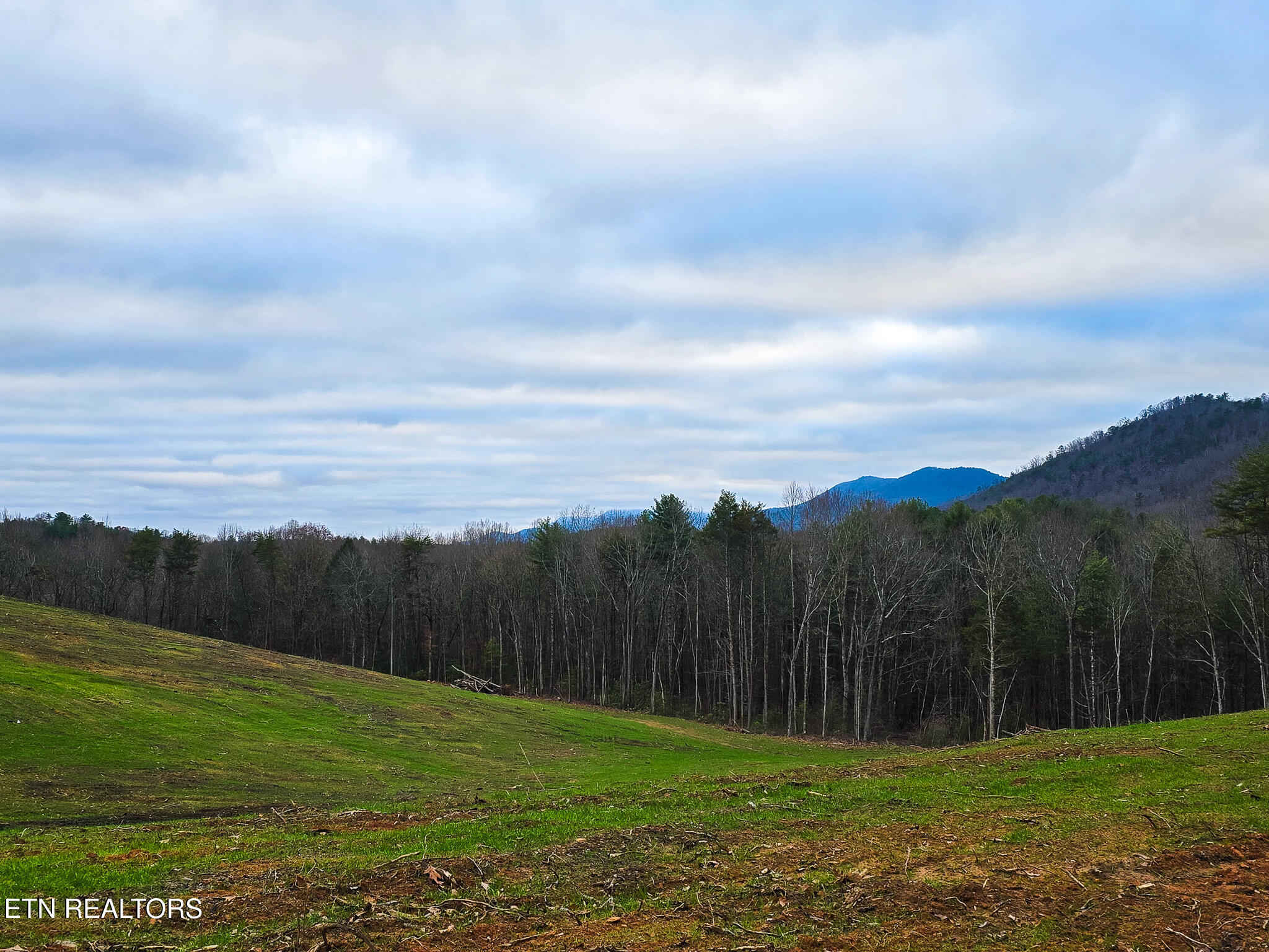 Creek Road Reliance TN 37369