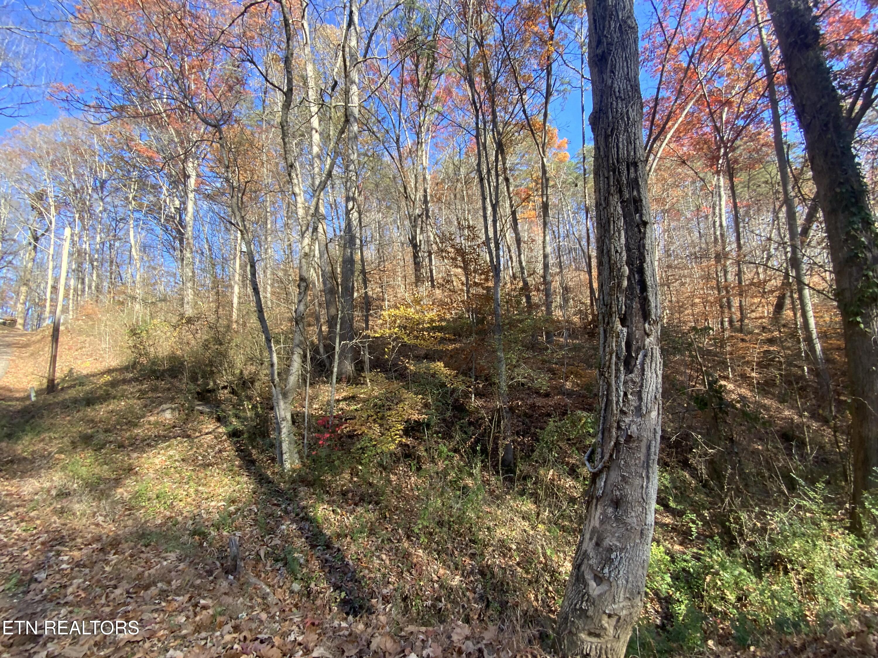 Mountain Side Lane Rocky Top TN 37769