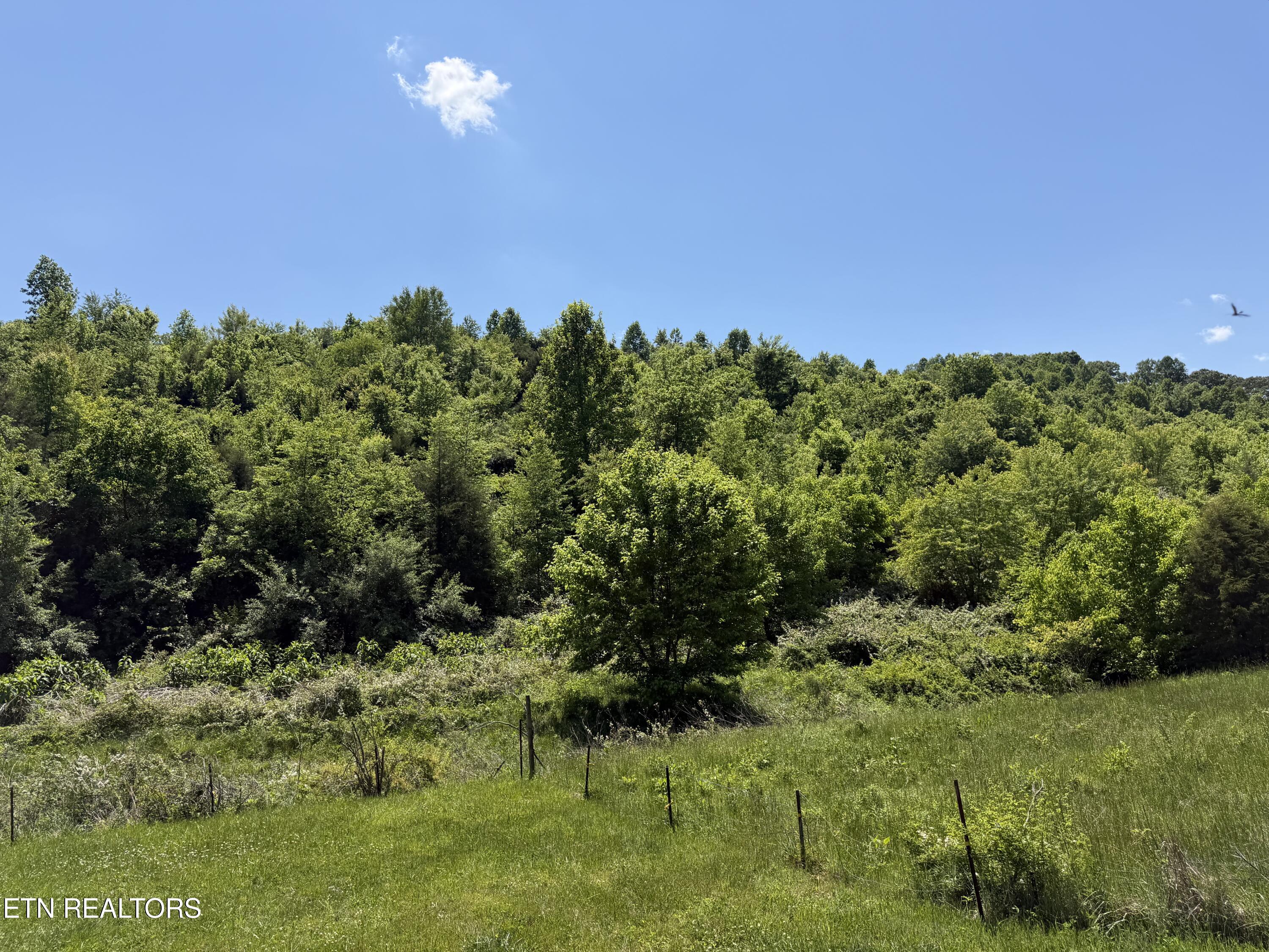 Leadmine Bend Road Sharps Chapel TN 37866