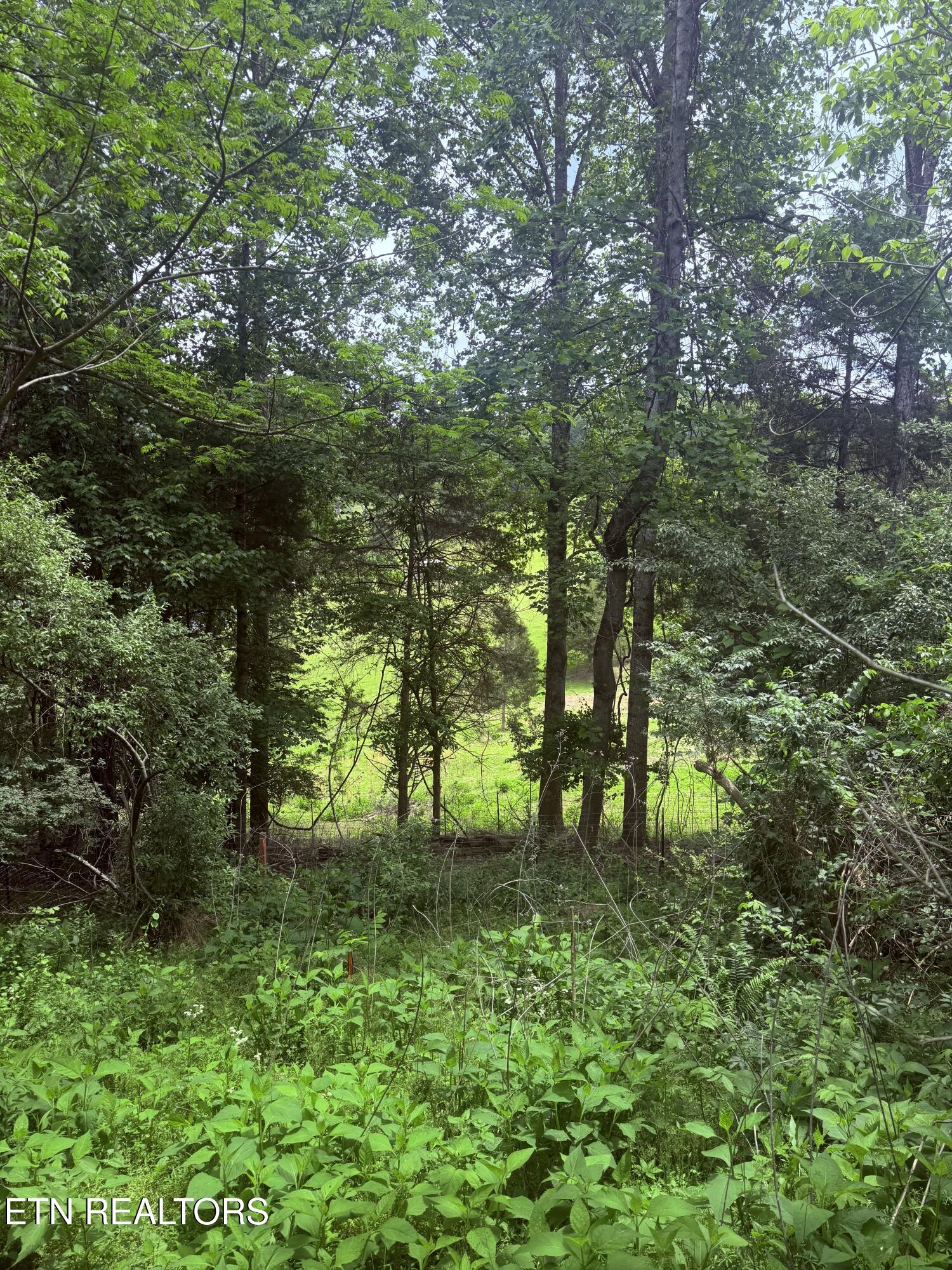 Chambers Road Jacksboro TN 37757