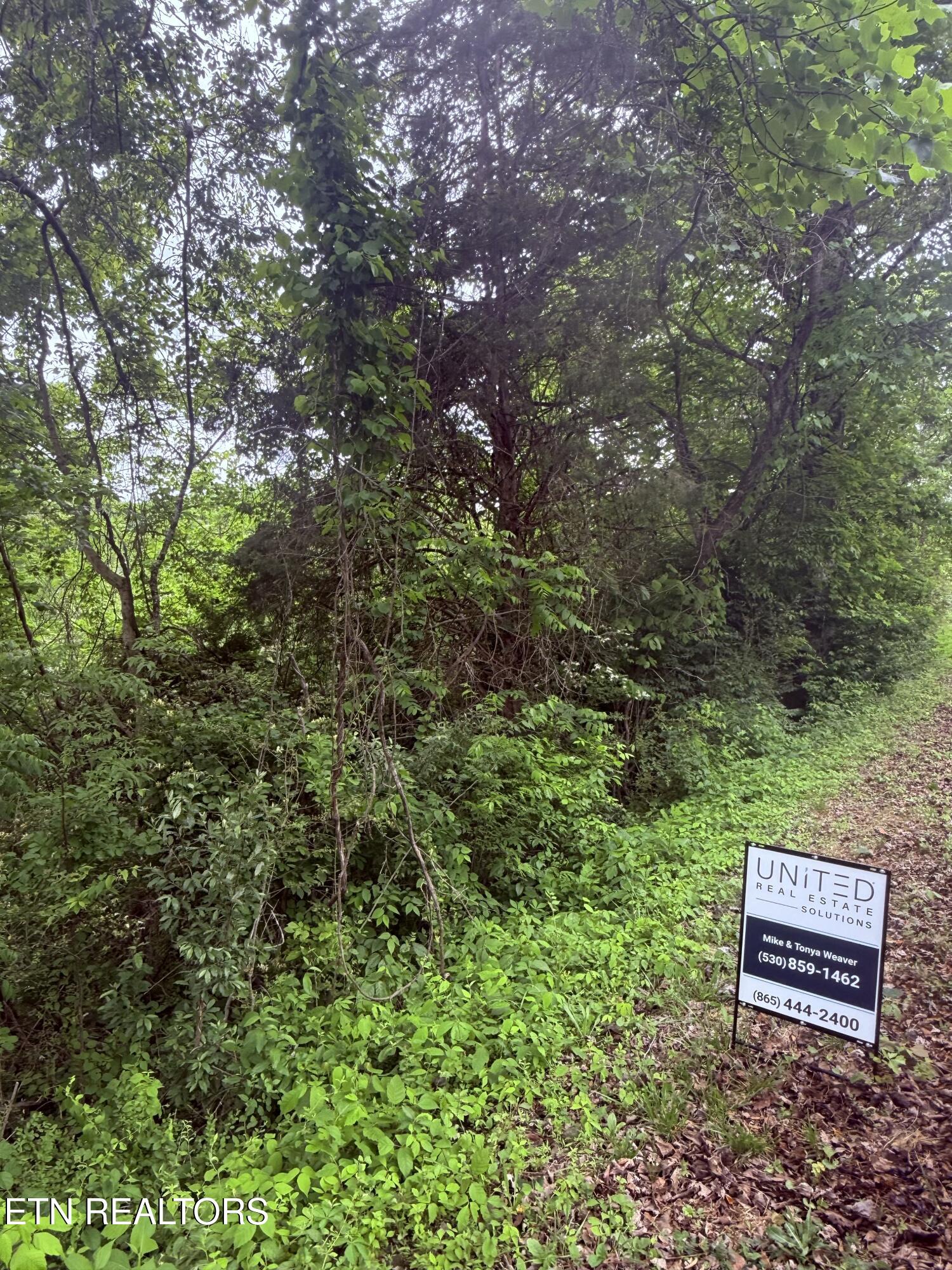 Chambers Road Jacksboro TN 37757