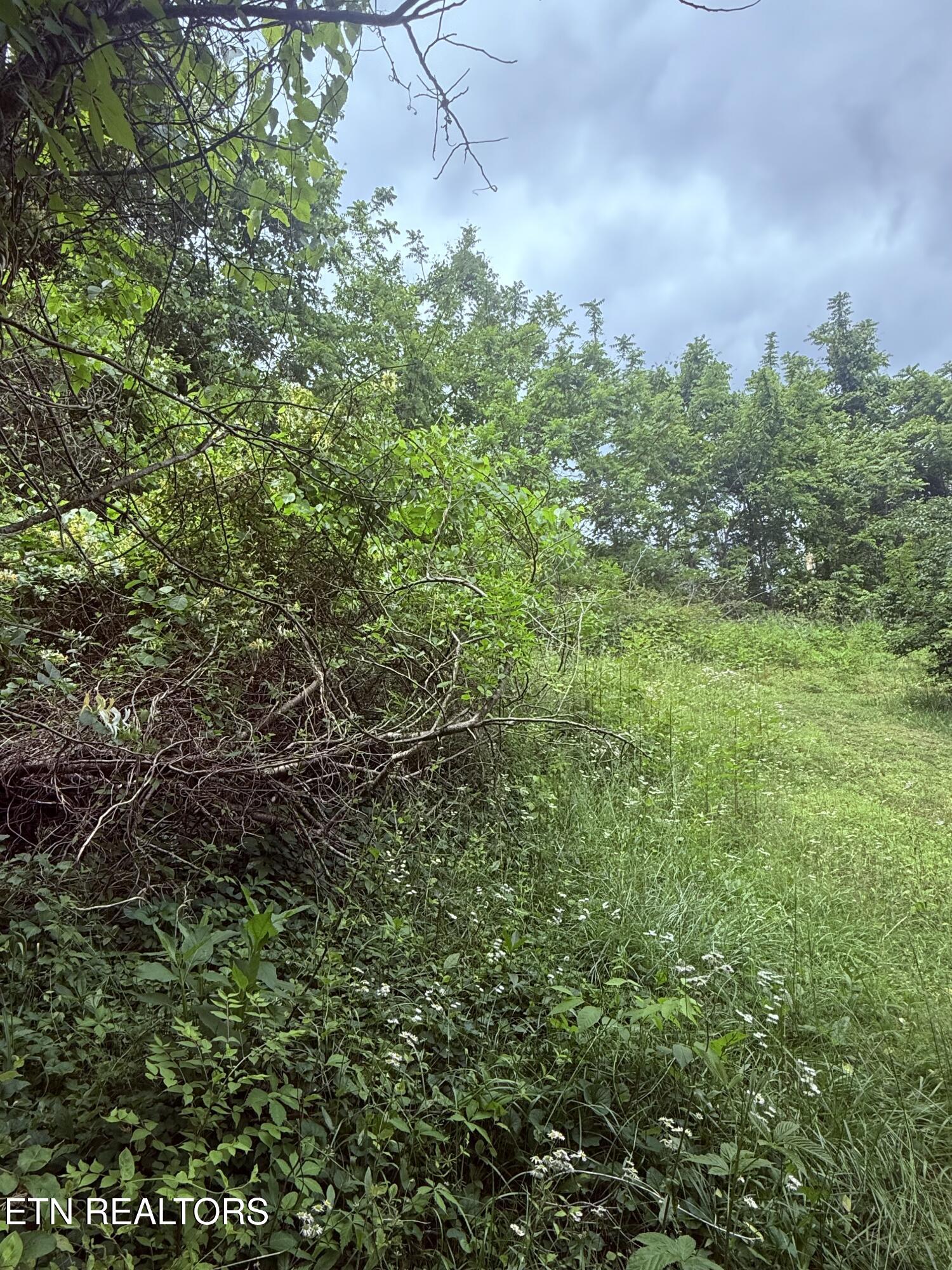 Chambers Road Jacksboro TN 37757