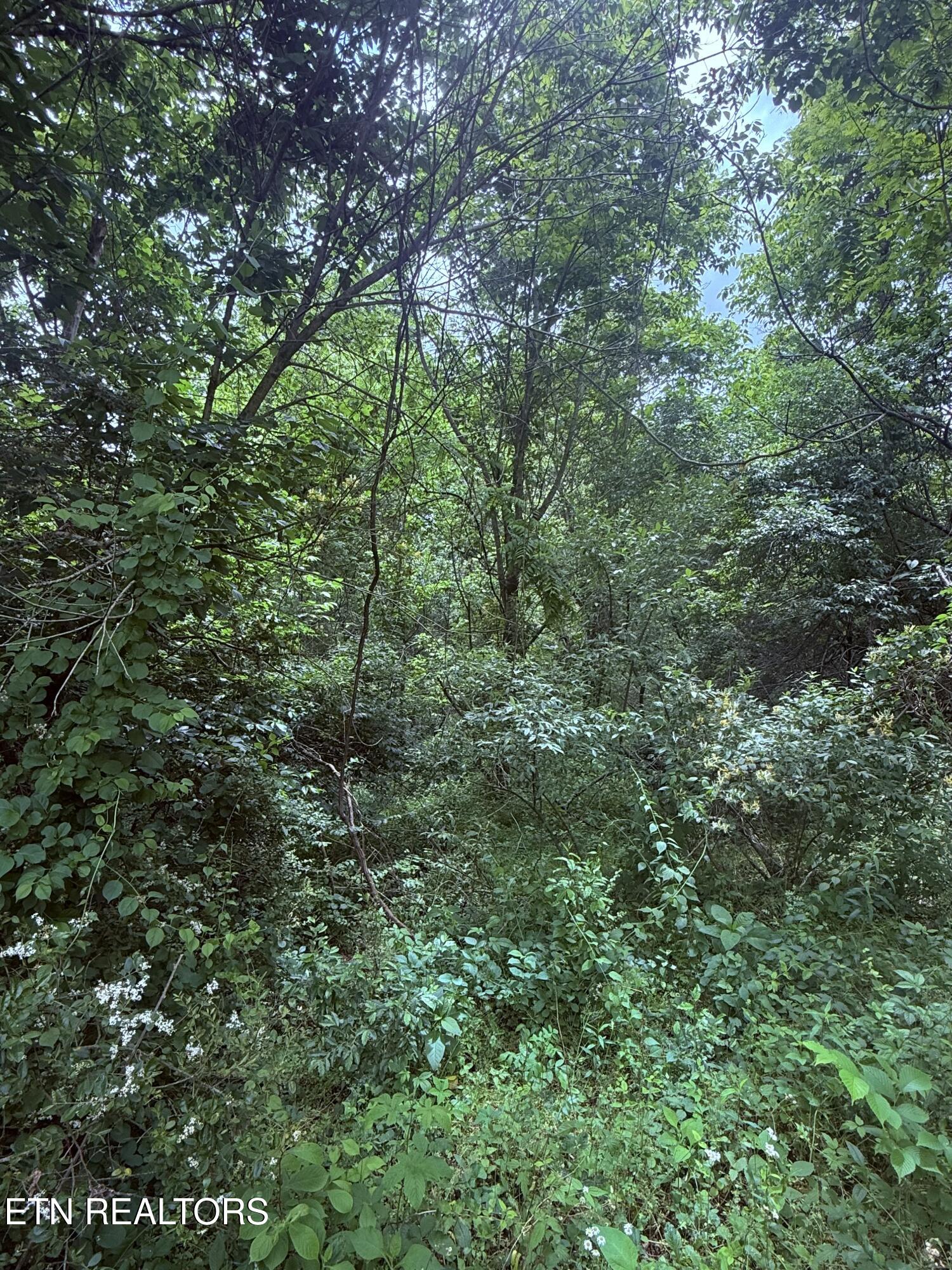 Chambers Road Jacksboro TN 37757