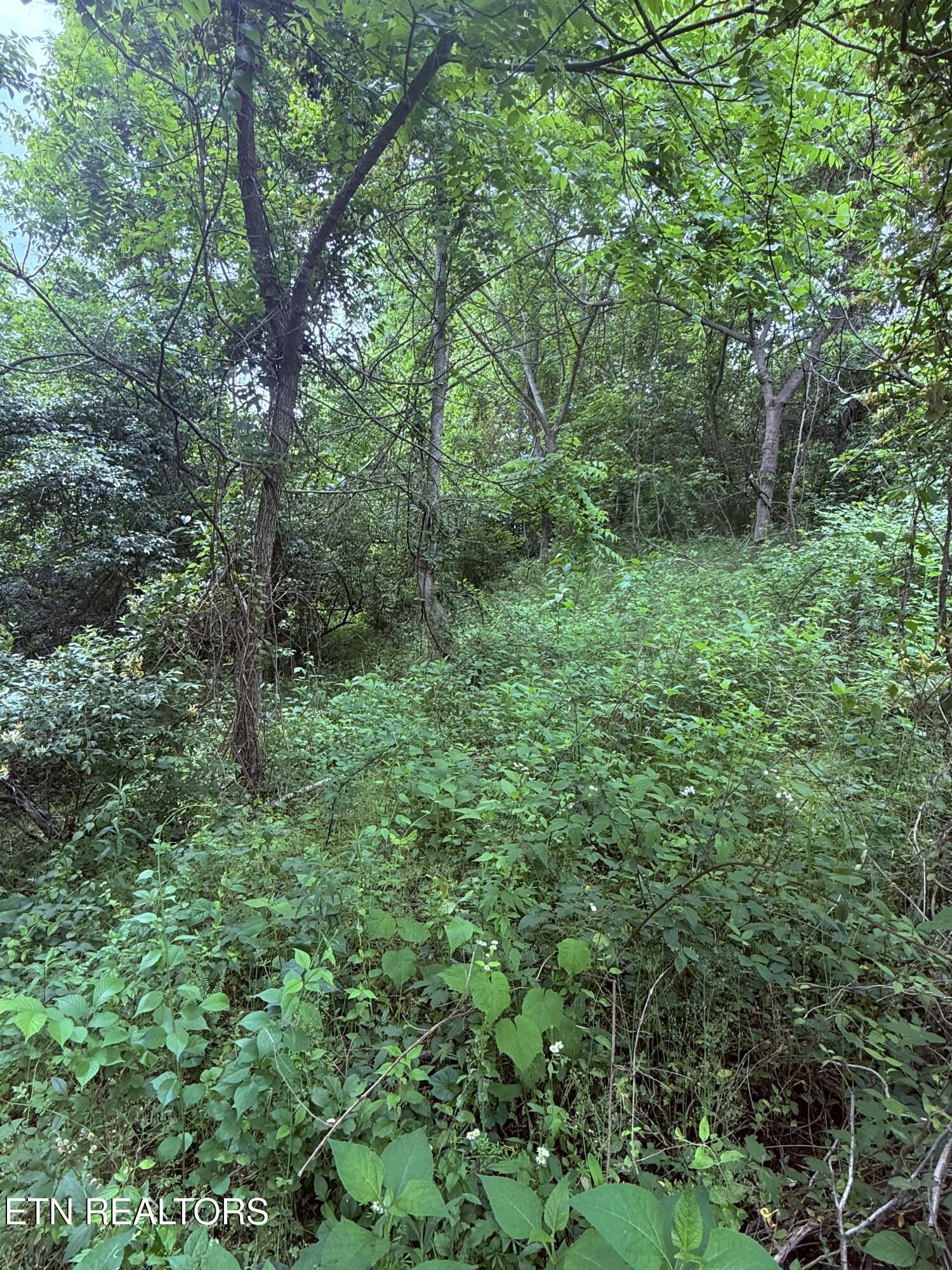 Chambers Road Jacksboro TN 37757