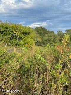 5 & 1 Acr 520 Lowe Road Crossville TN 38571