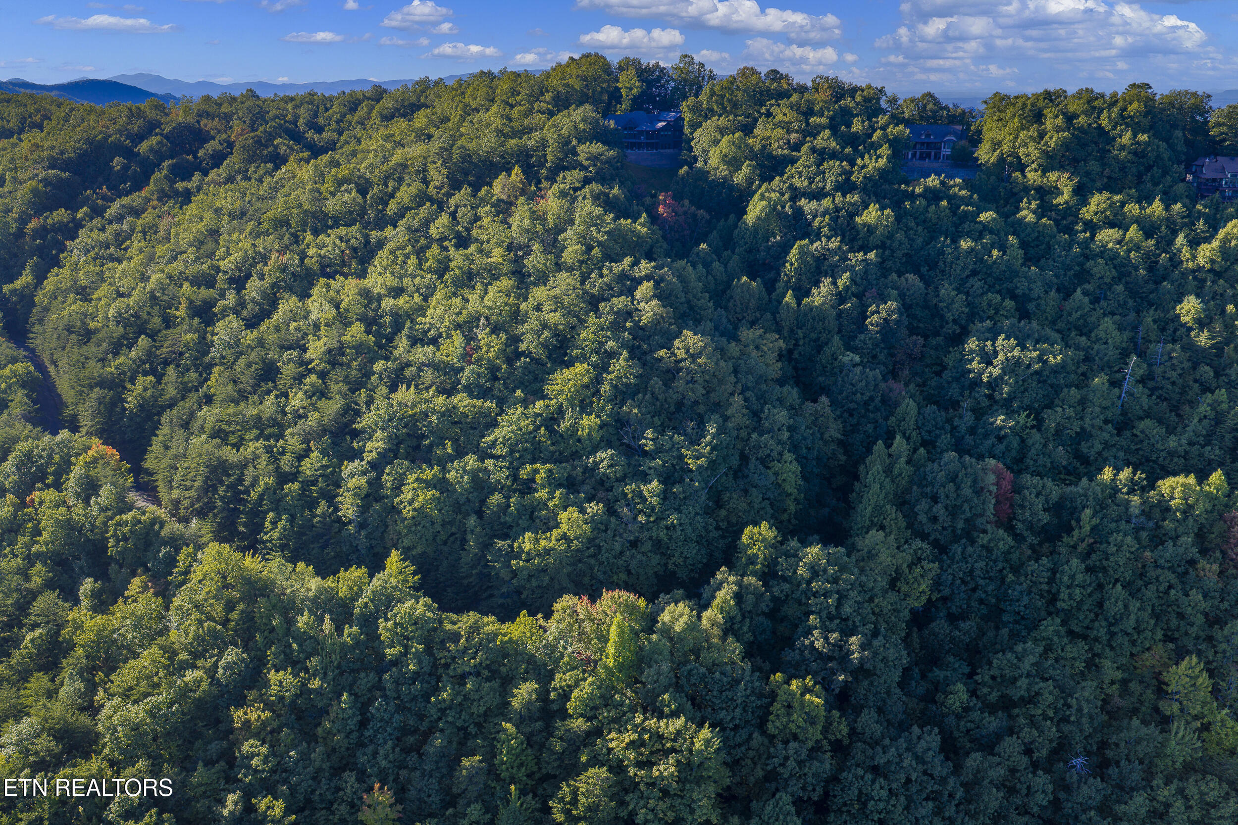 Enclave Park Way Sevierville TN 37862