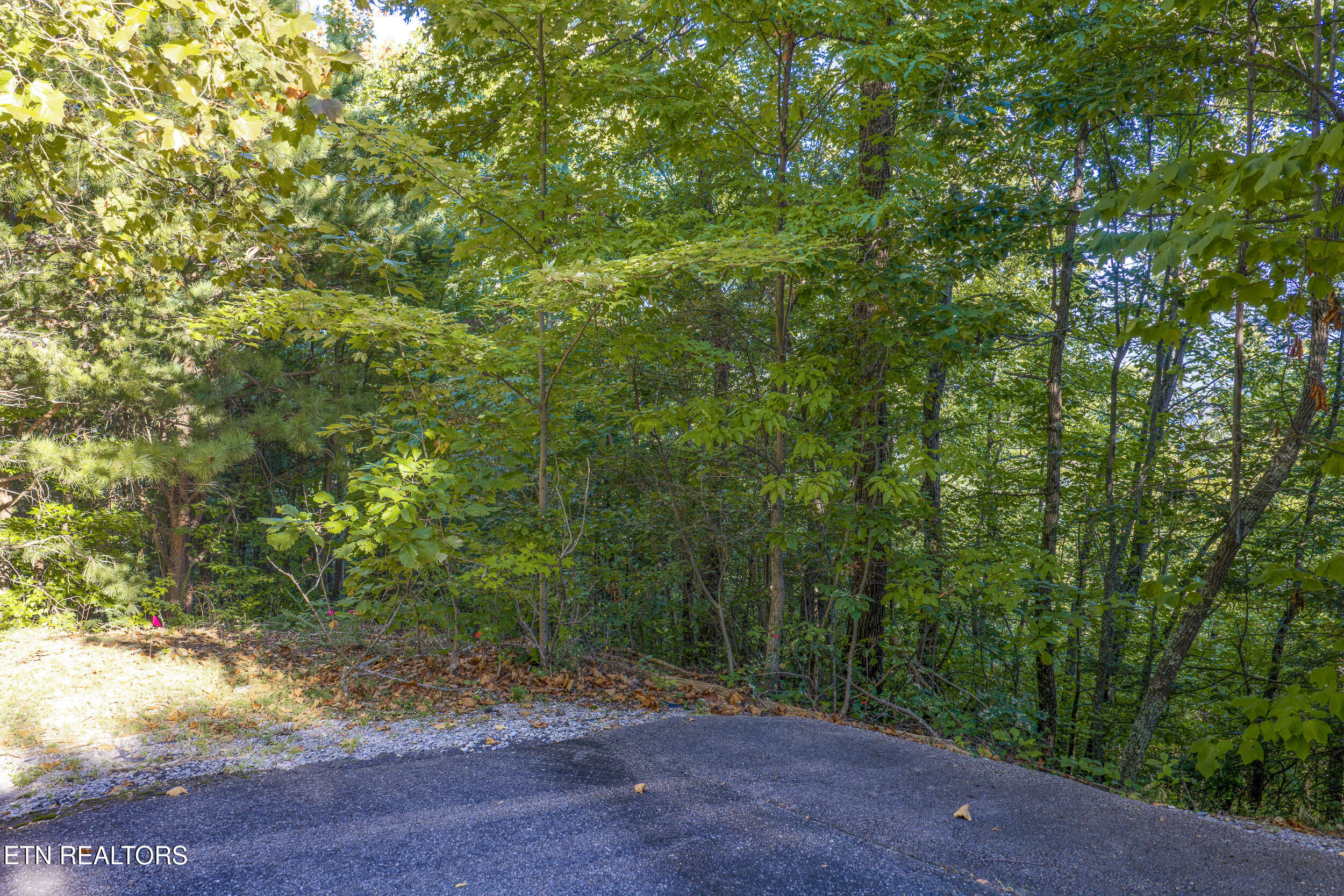 Enclave Park Way Sevierville TN 37862