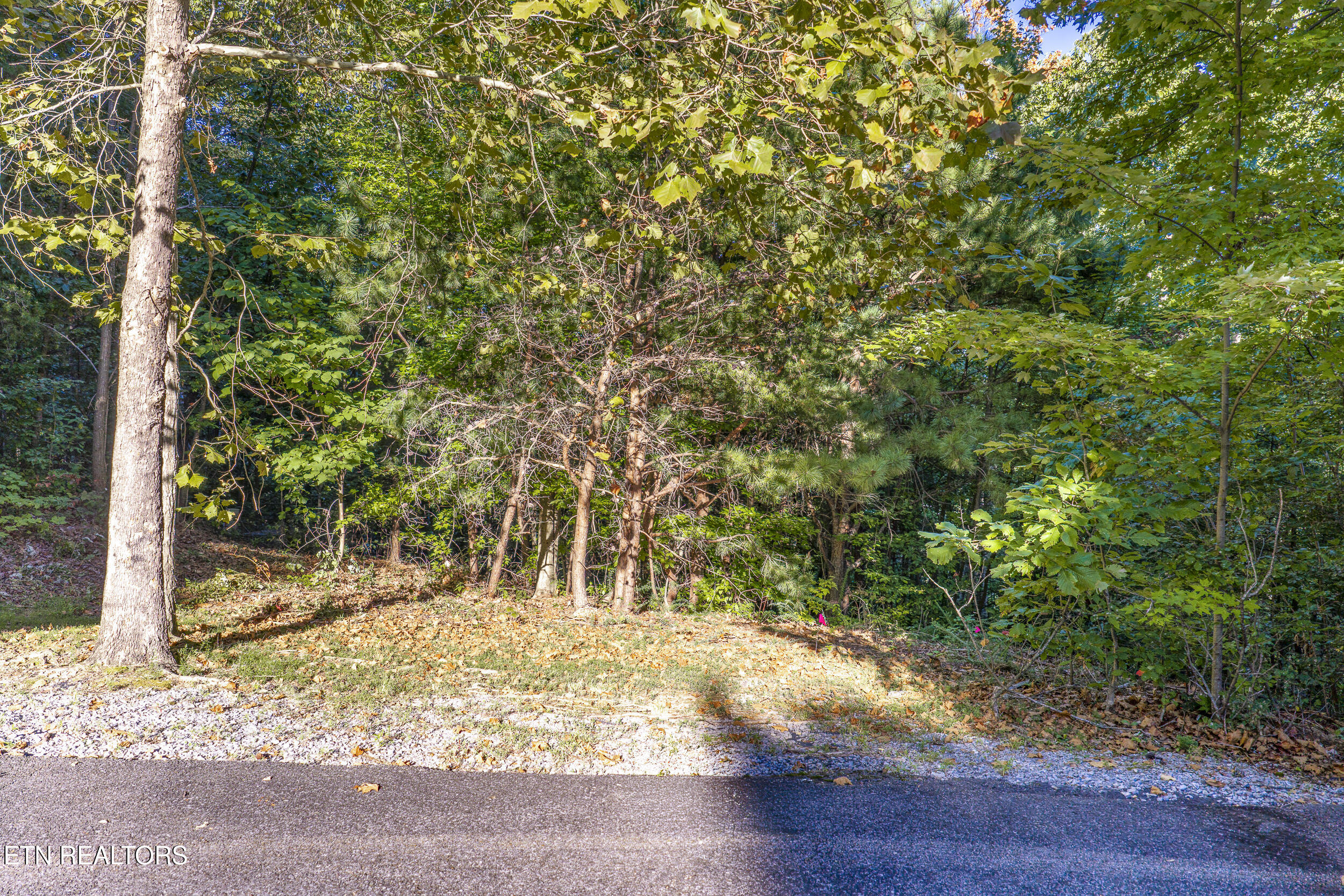 Enclave Park Way Sevierville TN 37862