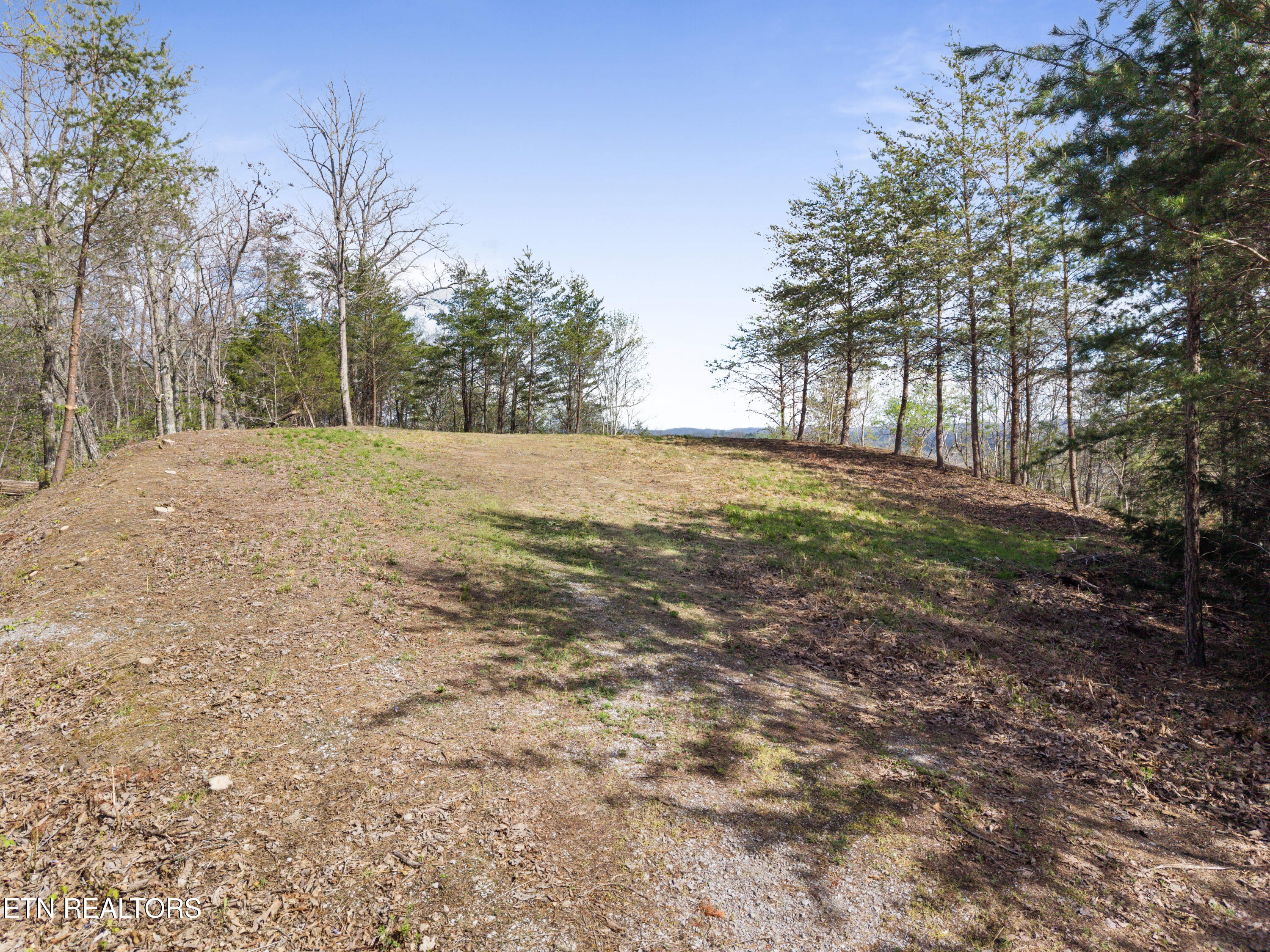 350 Bluff View Road New Tazewell TN 37825