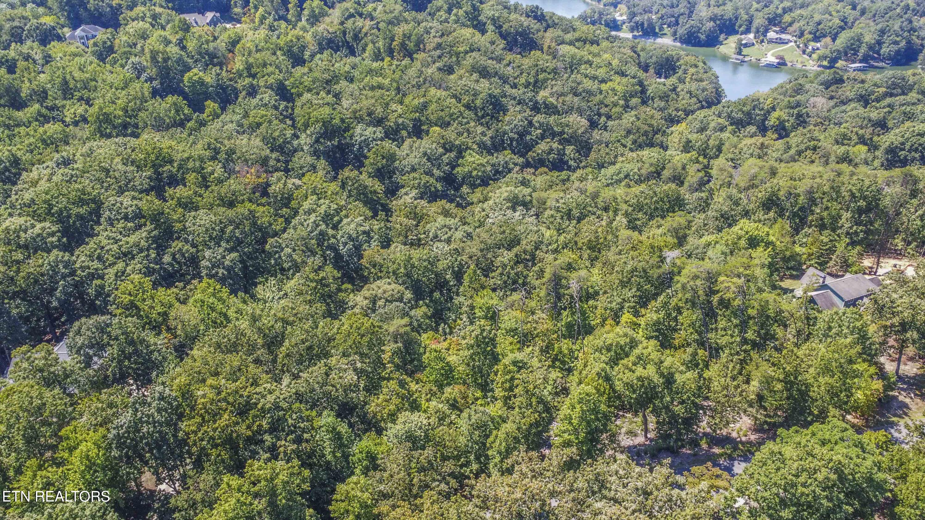 2029 Duck Cove Drive Knoxville TN 37922