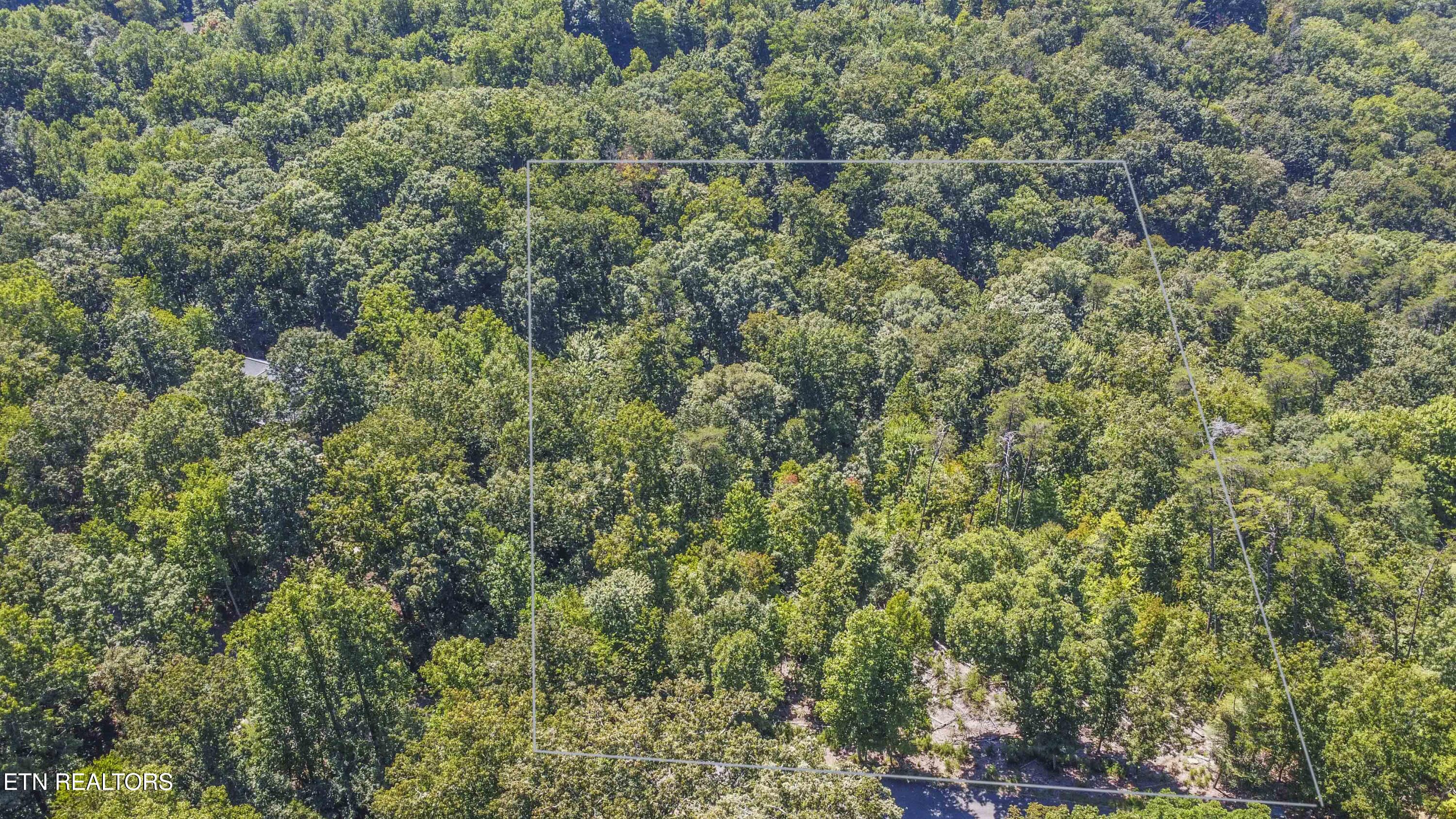 2029 Duck Cove Drive Knoxville TN 37922