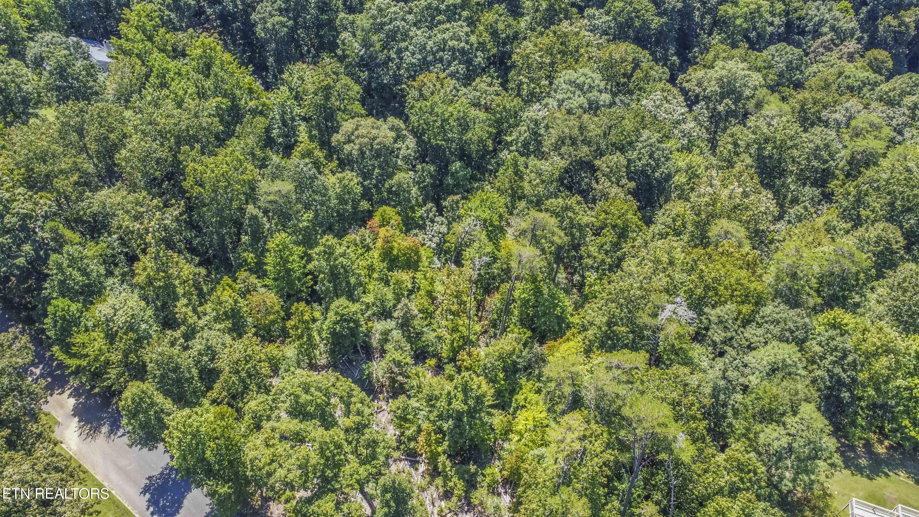 2029 Duck Cove Drive Knoxville TN 37922