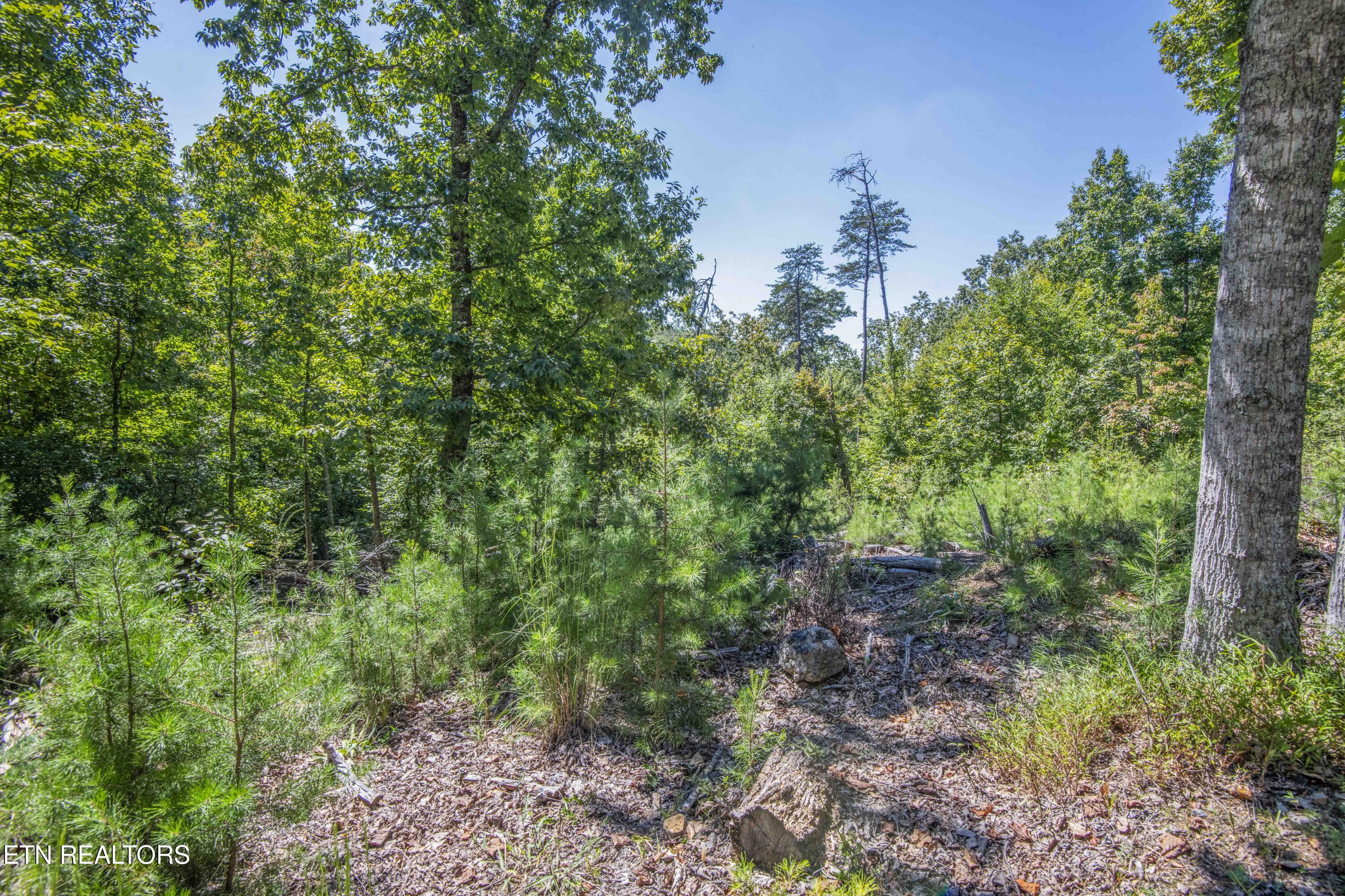 2029 Duck Cove Drive Knoxville TN 37922