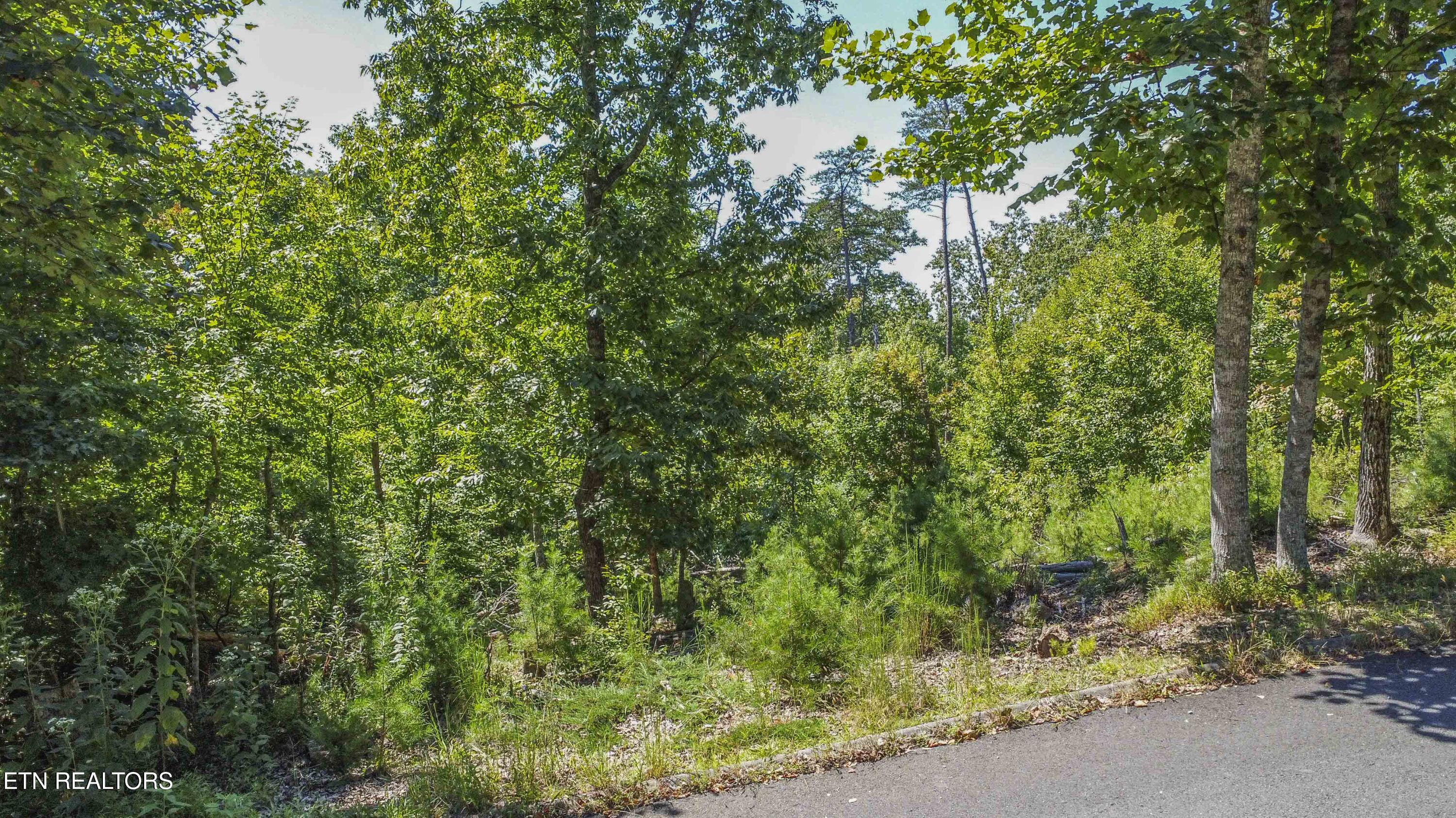 2029 Duck Cove Drive Knoxville TN 37922