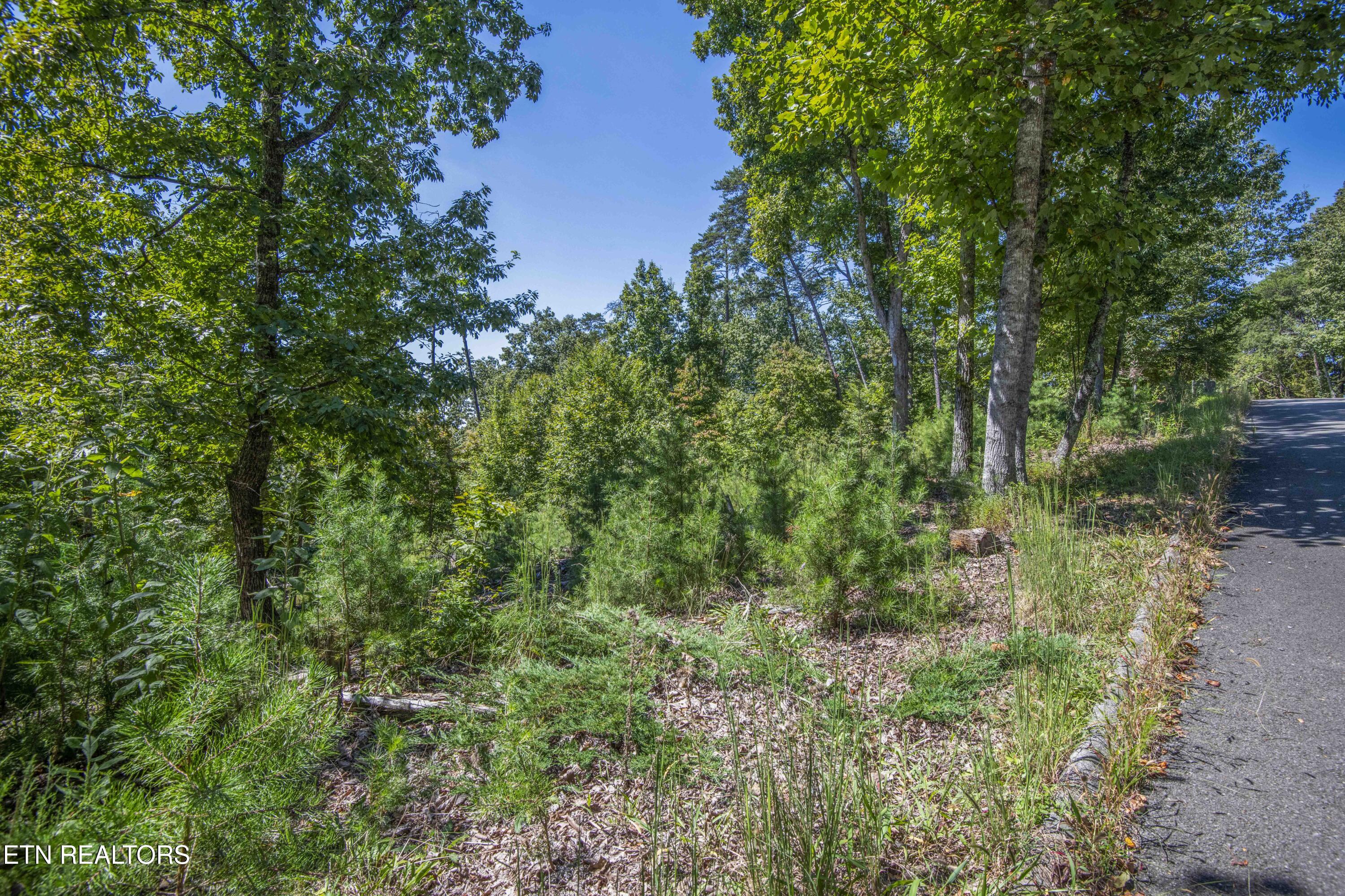 2029 Duck Cove Drive Knoxville TN 37922