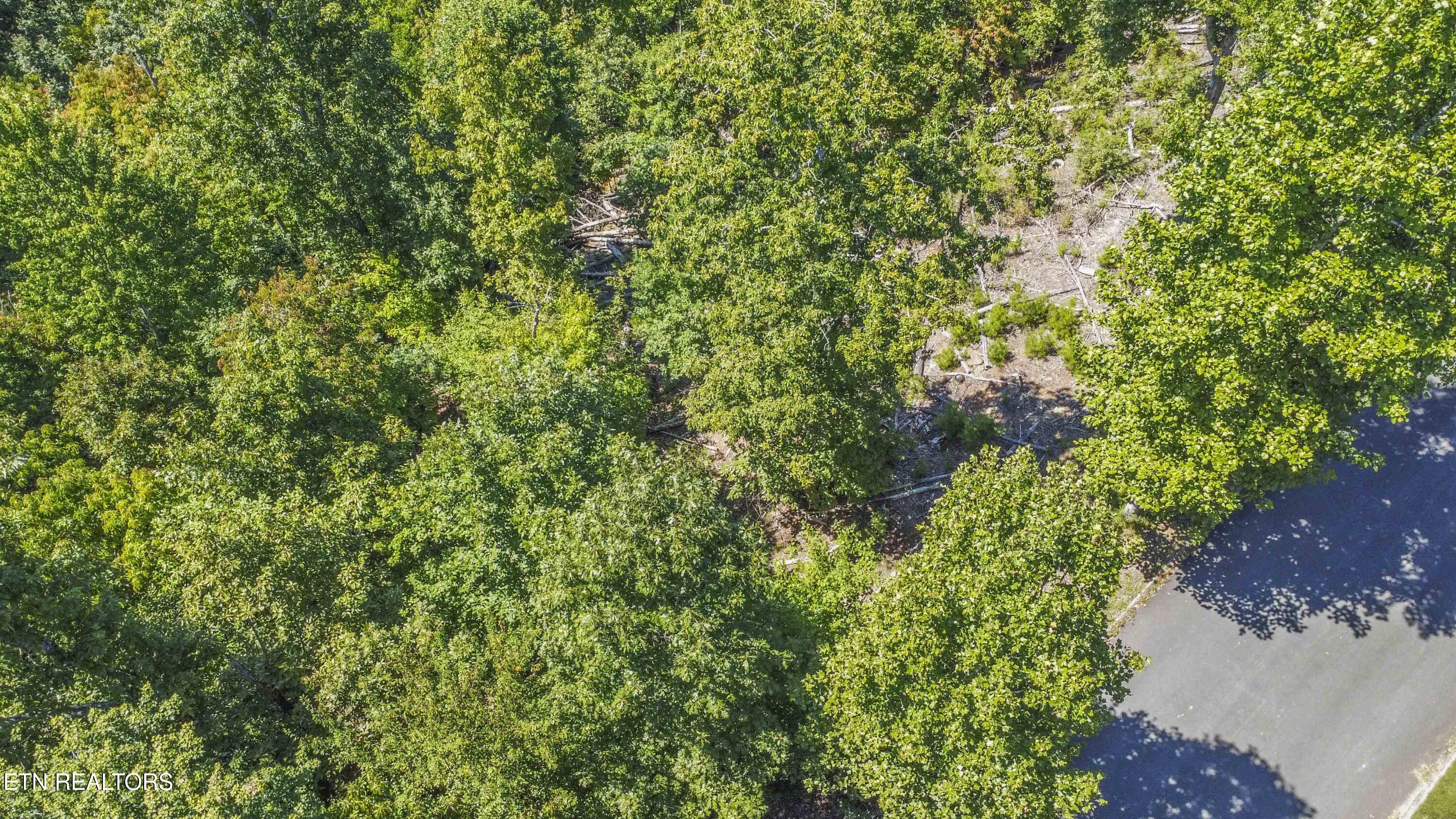 2029 Duck Cove Drive Knoxville TN 37922