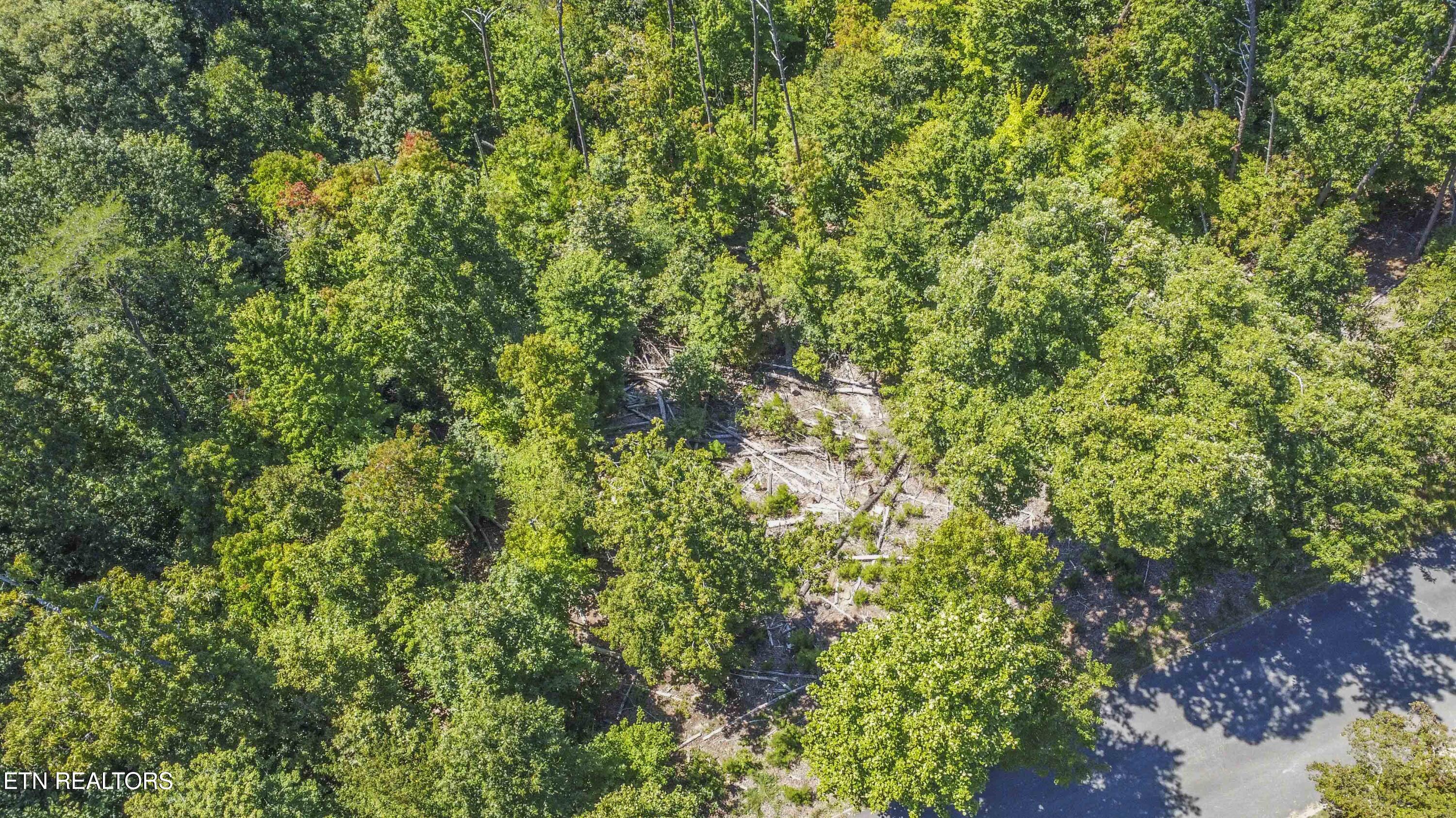 2029 Duck Cove Drive Knoxville TN 37922