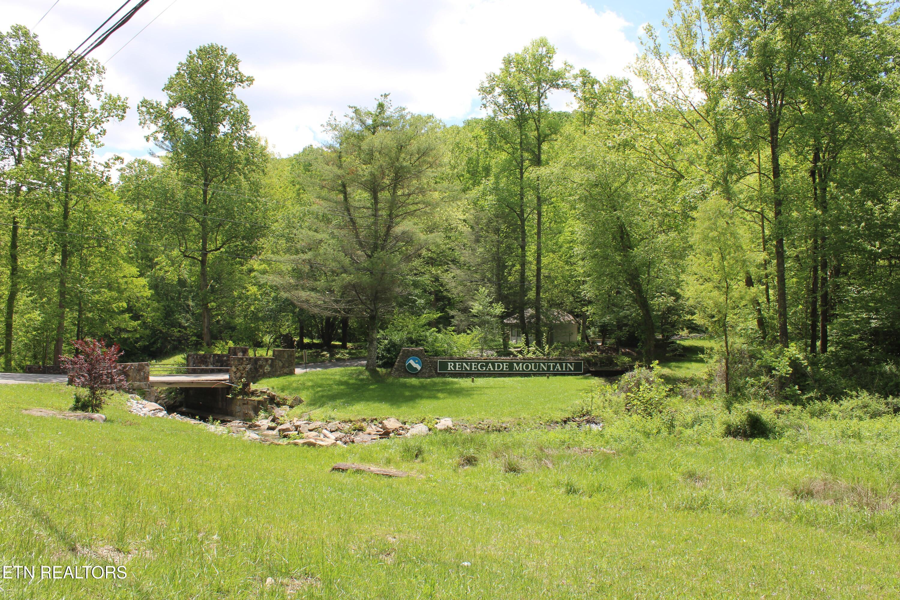 Lower Eagles Nest Road Crab Orchard TN 37723