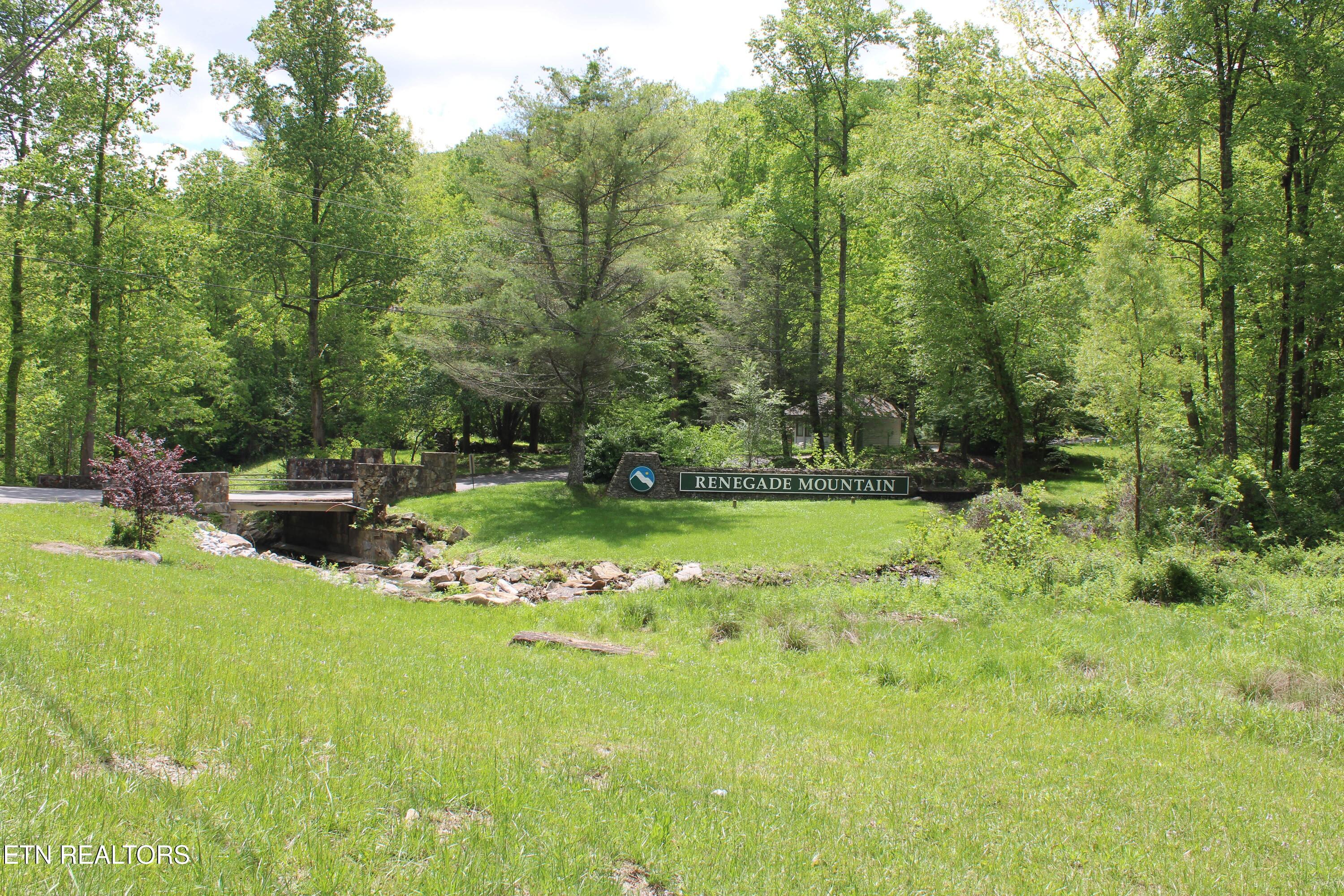 Lower Eagles Nest Road Crab Orchard TN 37723