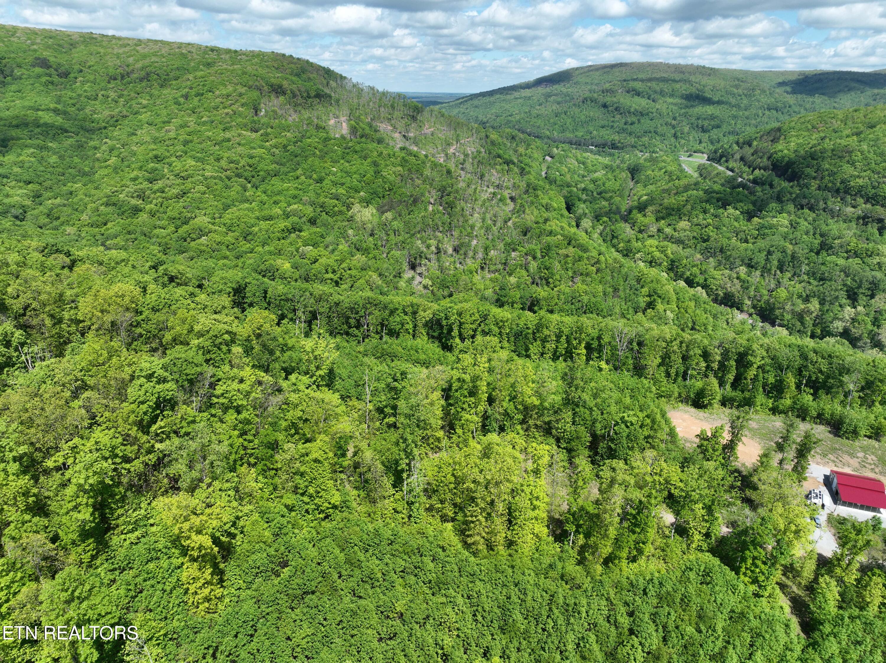 Lower Eagles Nest Road Crab Orchard TN 37723