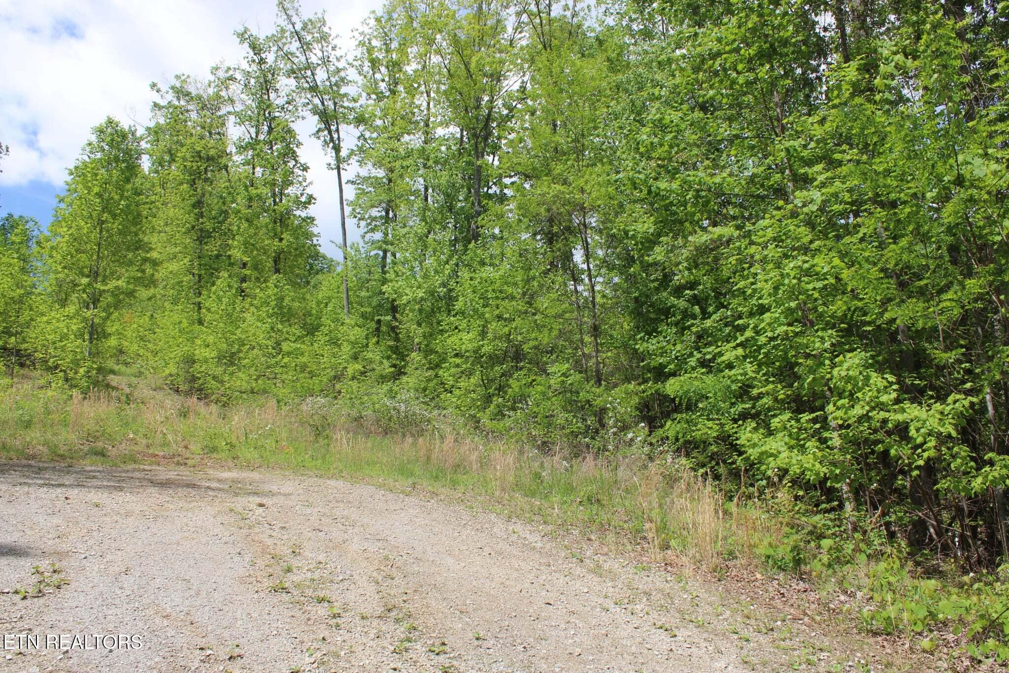 Lower Eagles Nest Road Crab Orchard TN 37723