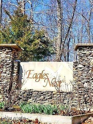 Lower Eagles Nest Road Crab Orchard TN 37723