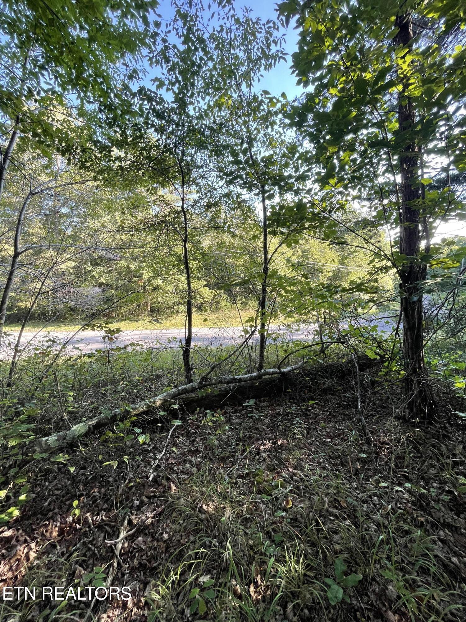 Lake Shore Drive Monterey TN 38574