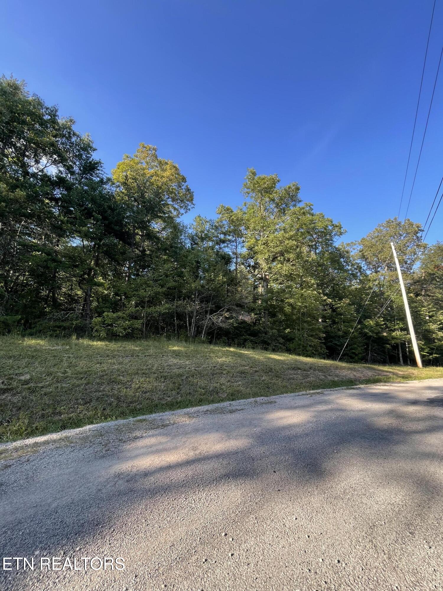 Lake Shore Drive Monterey TN 38574