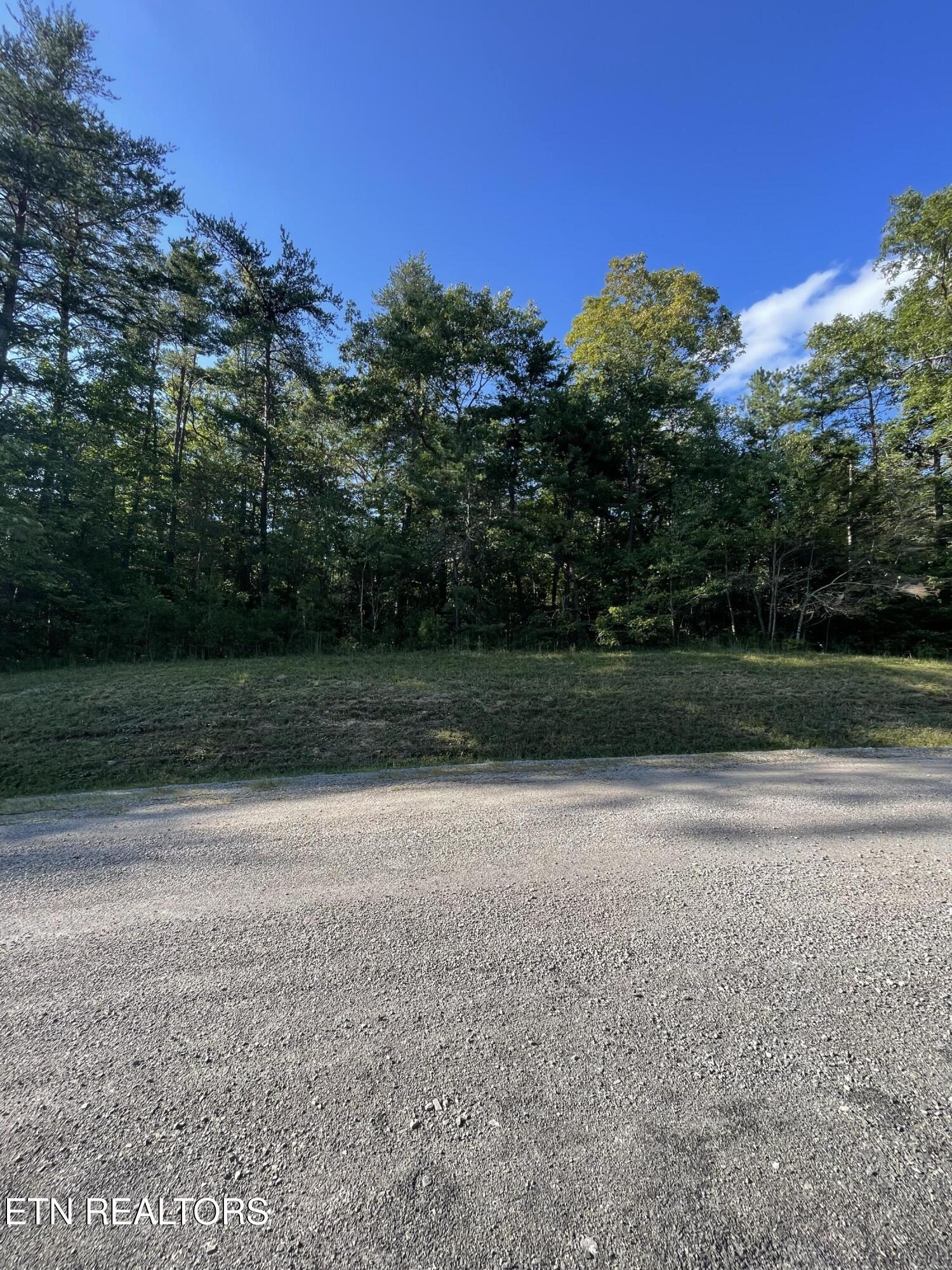 Lake Shore Drive Monterey TN 38574