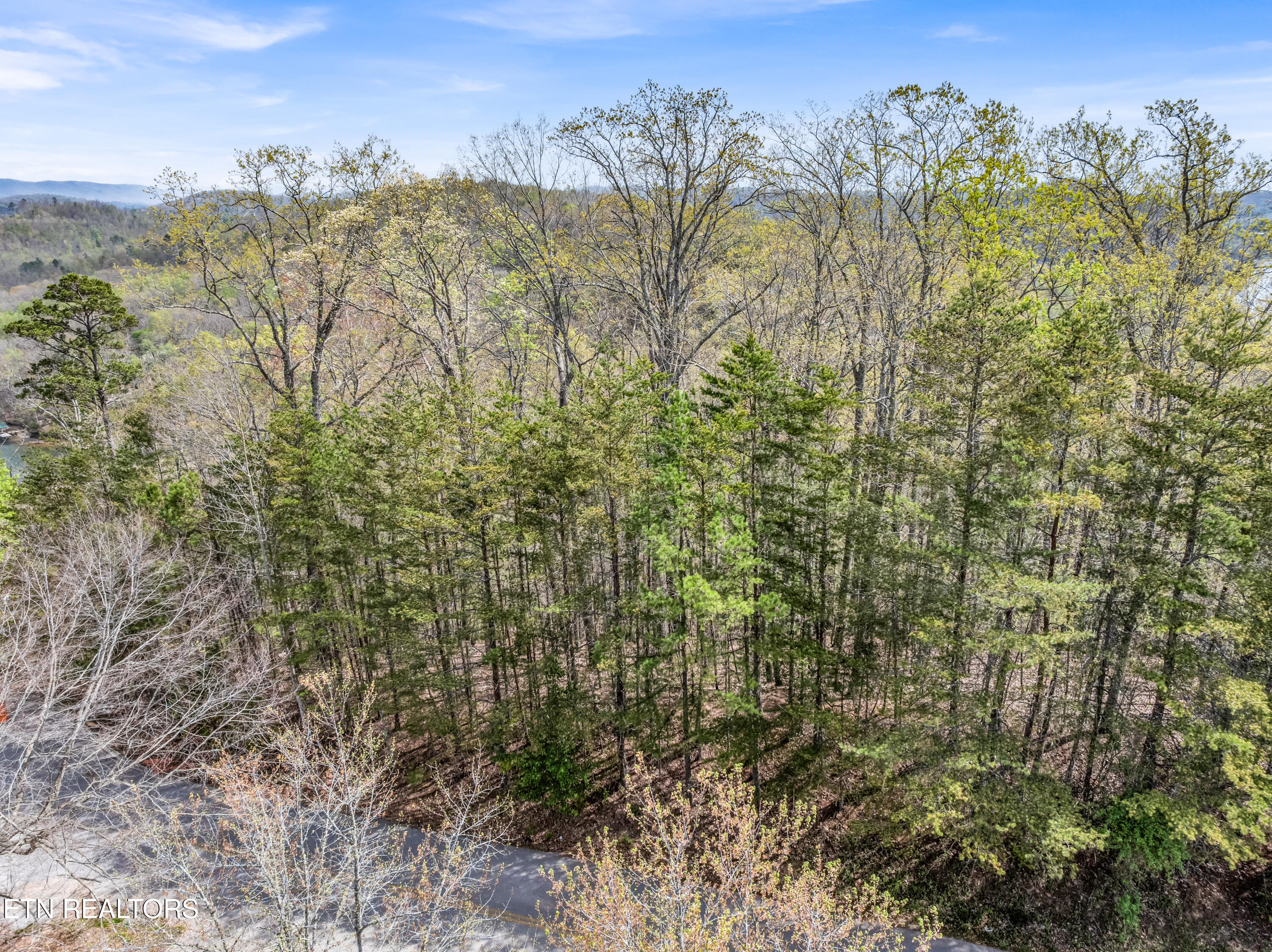 Eerie Point Rockwood TN 37854