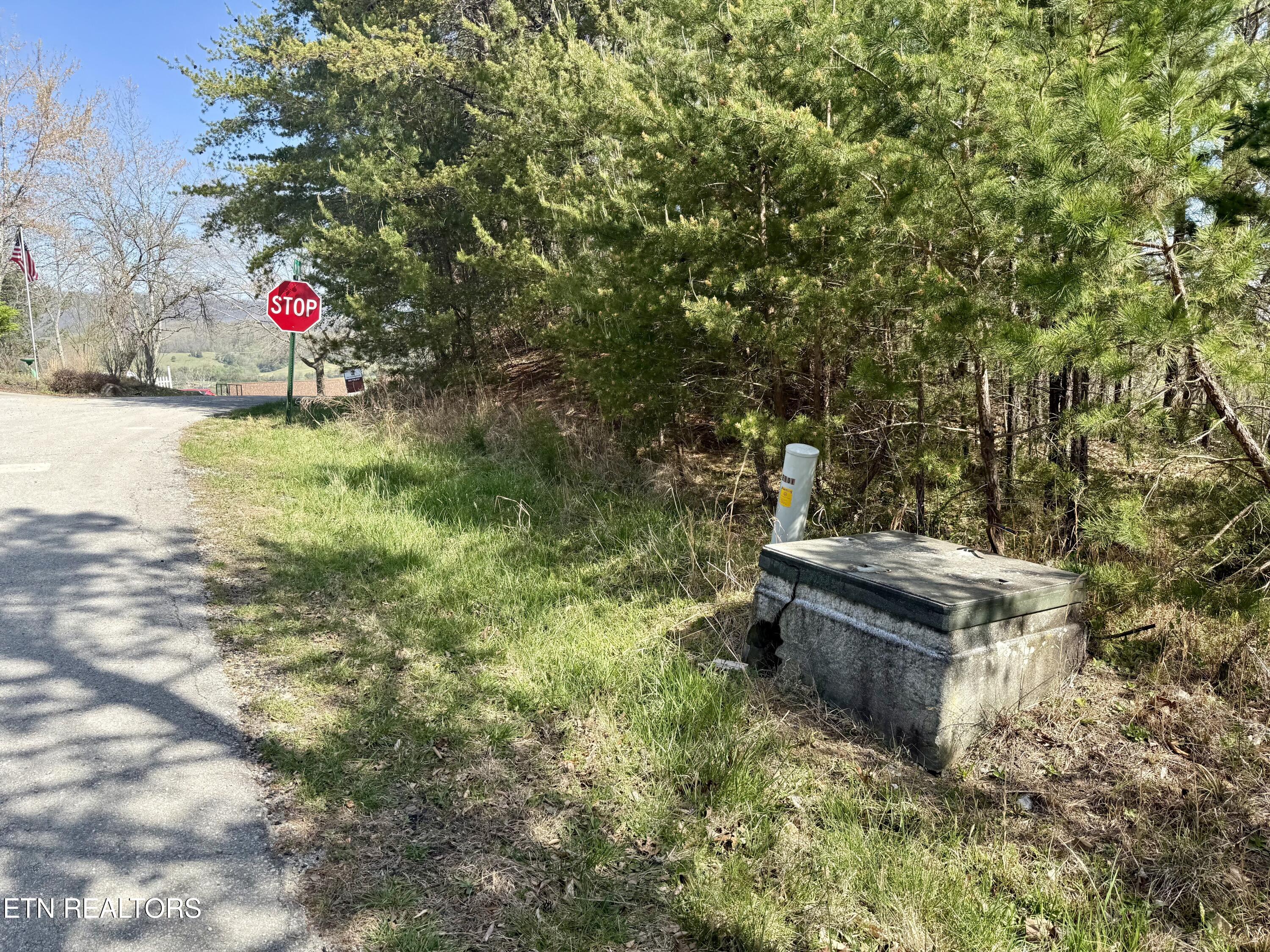 Eerie Point Rockwood TN 37854