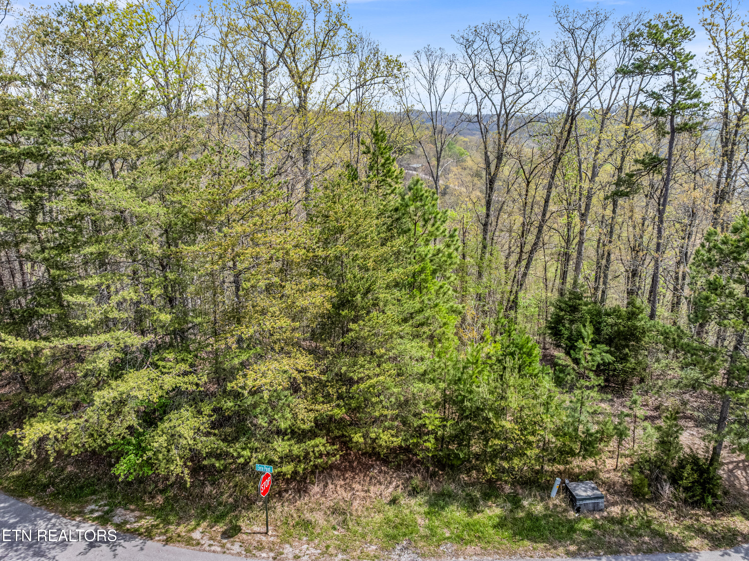 Eerie Point Rockwood TN 37854