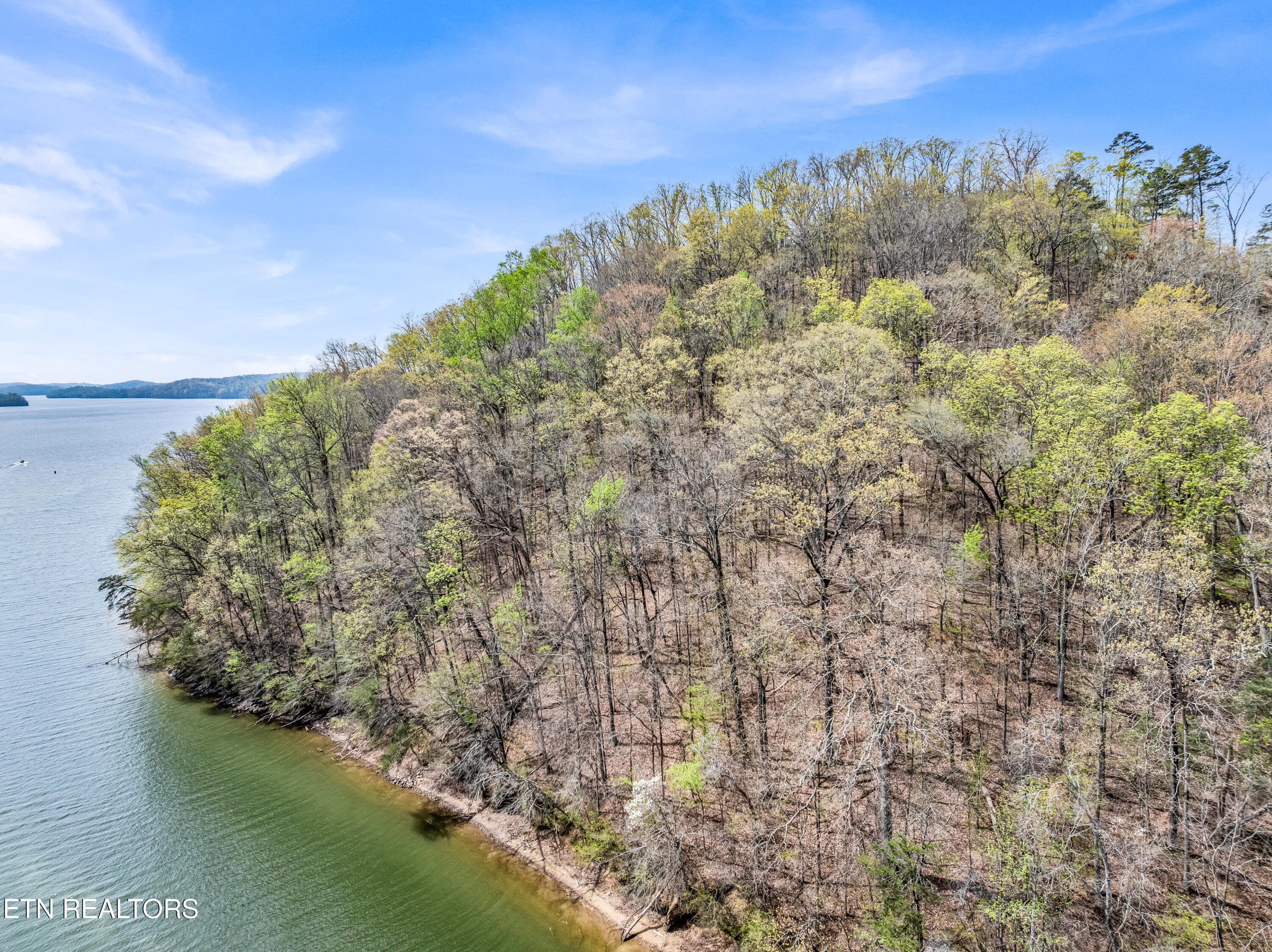 Eerie Point Rockwood TN 37854