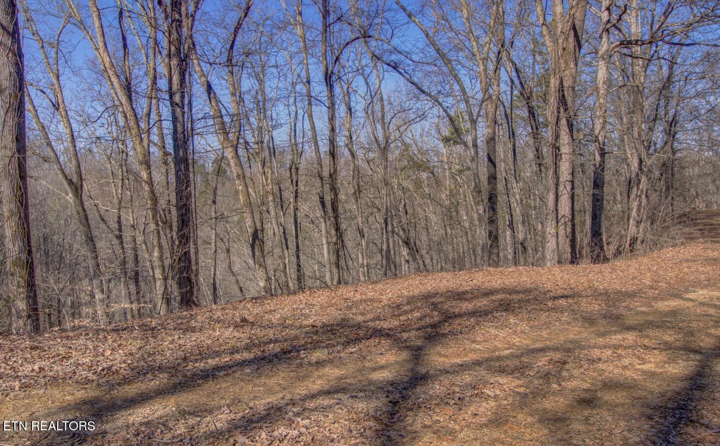 4575 Crooked Creek Way Lot 3 Maryville TN 37803