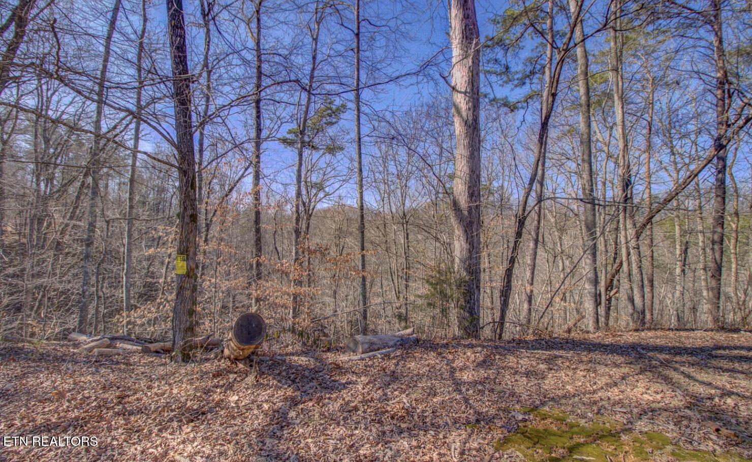 4575 Crooked Creek Way Lot 3 Maryville TN 37803