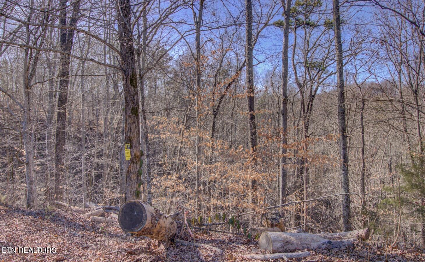 4575 Crooked Creek Way Lot 3 Maryville TN 37803