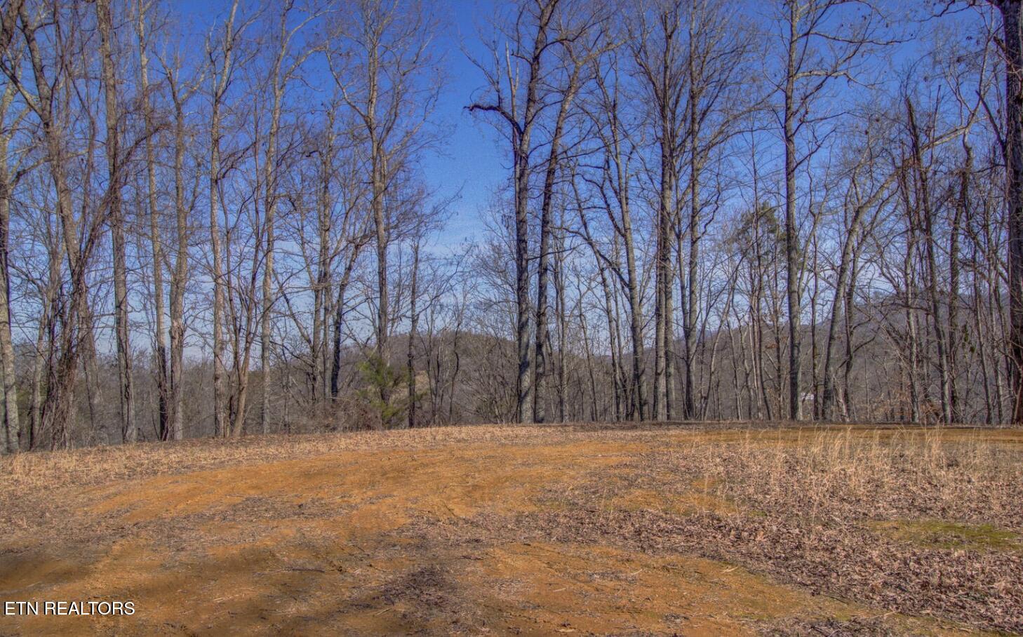 4575 Crooked Creek Way Lot 3 Maryville TN 37803
