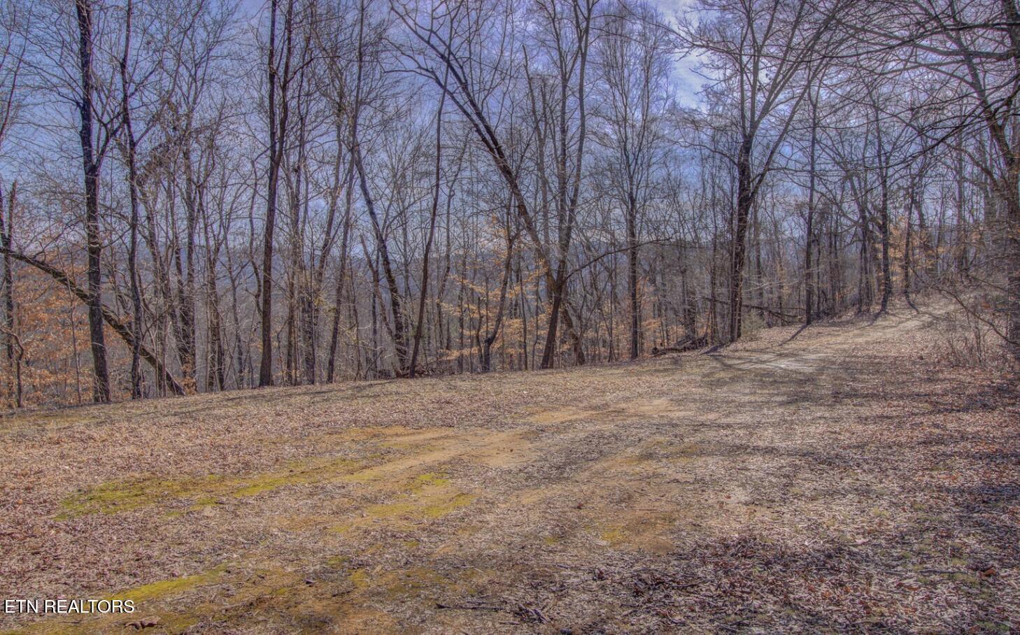 4575 Crooked Creek Way Lot 3 Maryville TN 37803