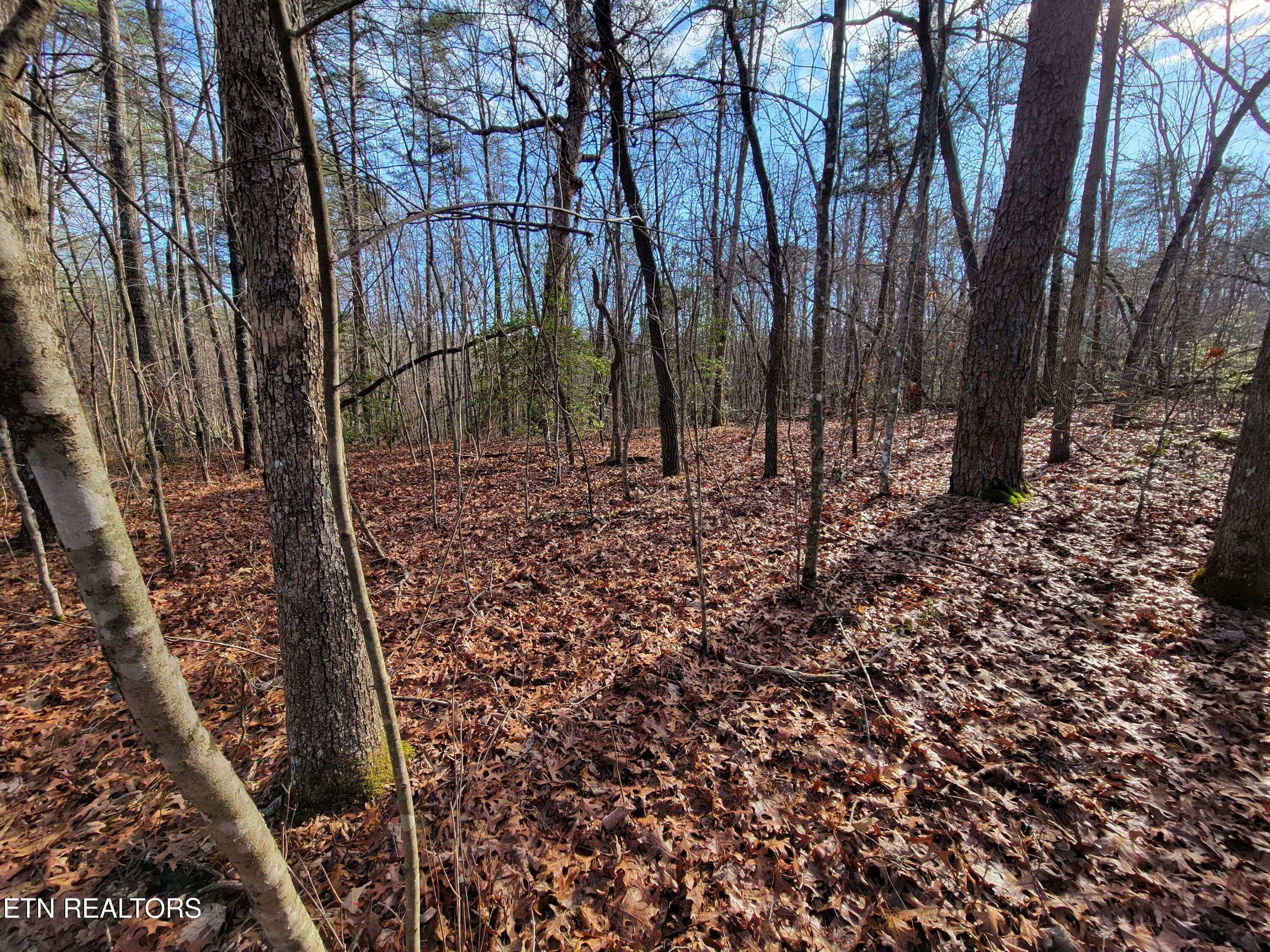 30 Laurel Loop Monterey TN 38574