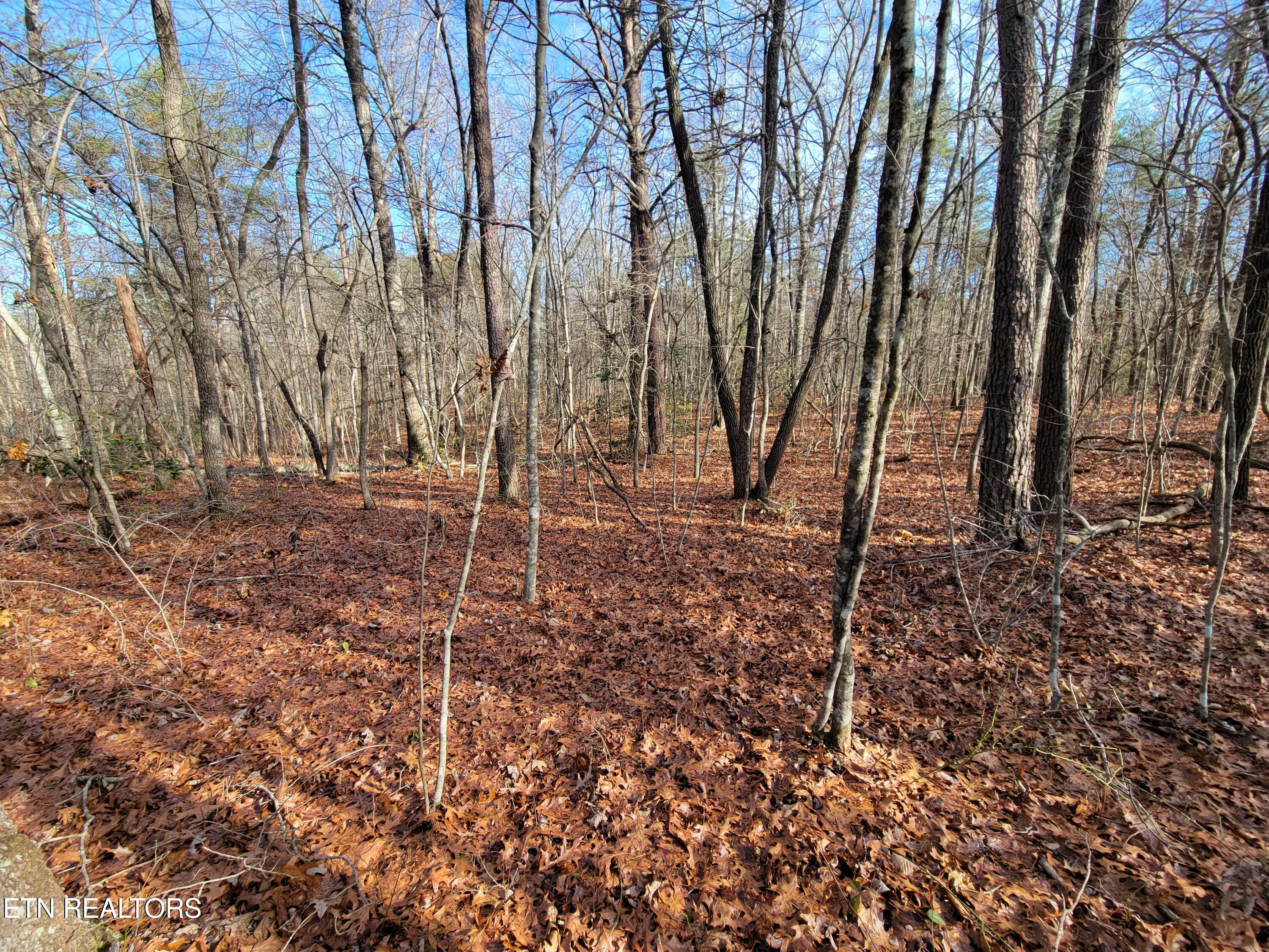 30 Laurel Loop Monterey TN 38574