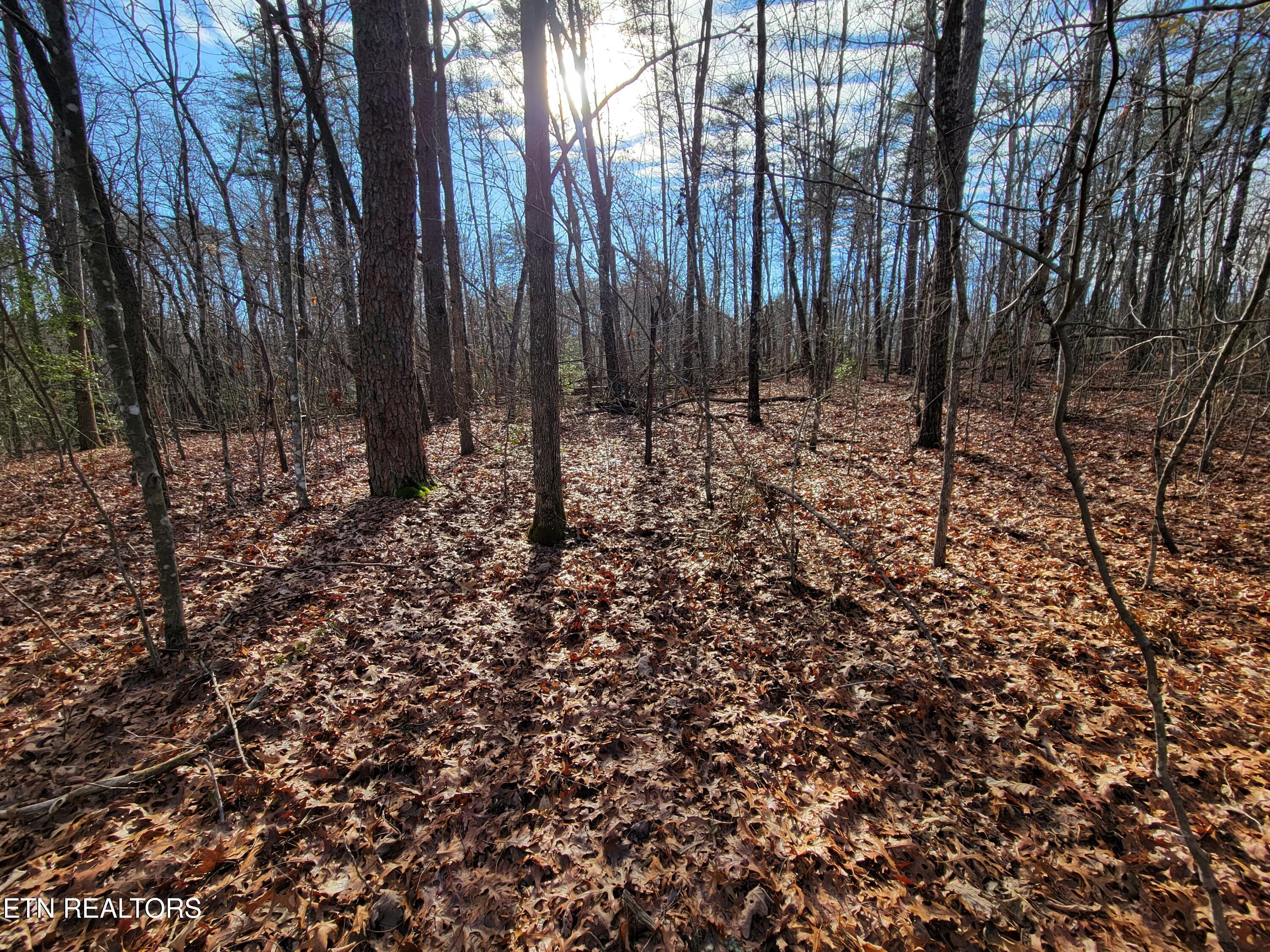 30 Laurel Loop Monterey TN 38574