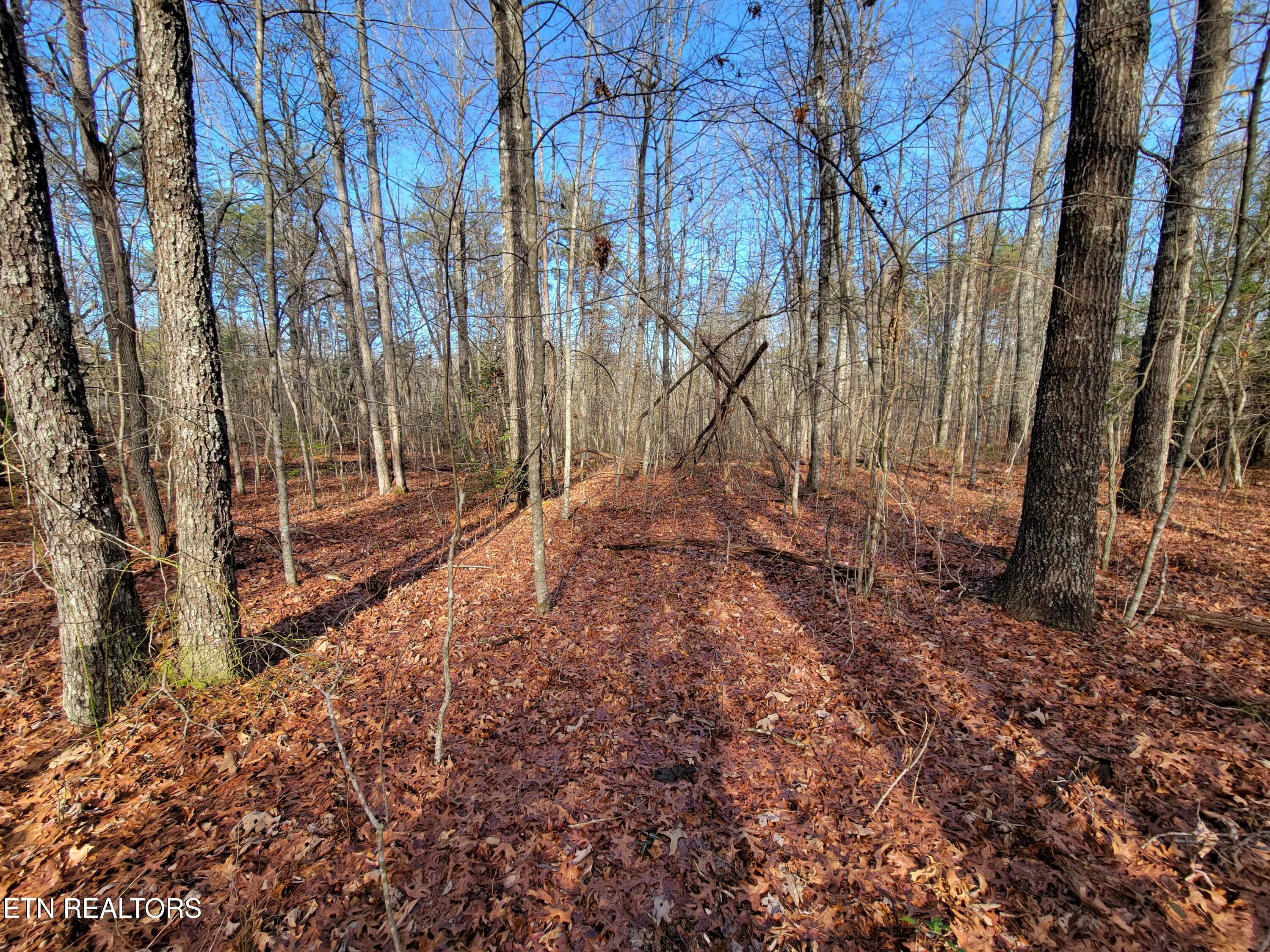 30 Laurel Loop Monterey TN 38574