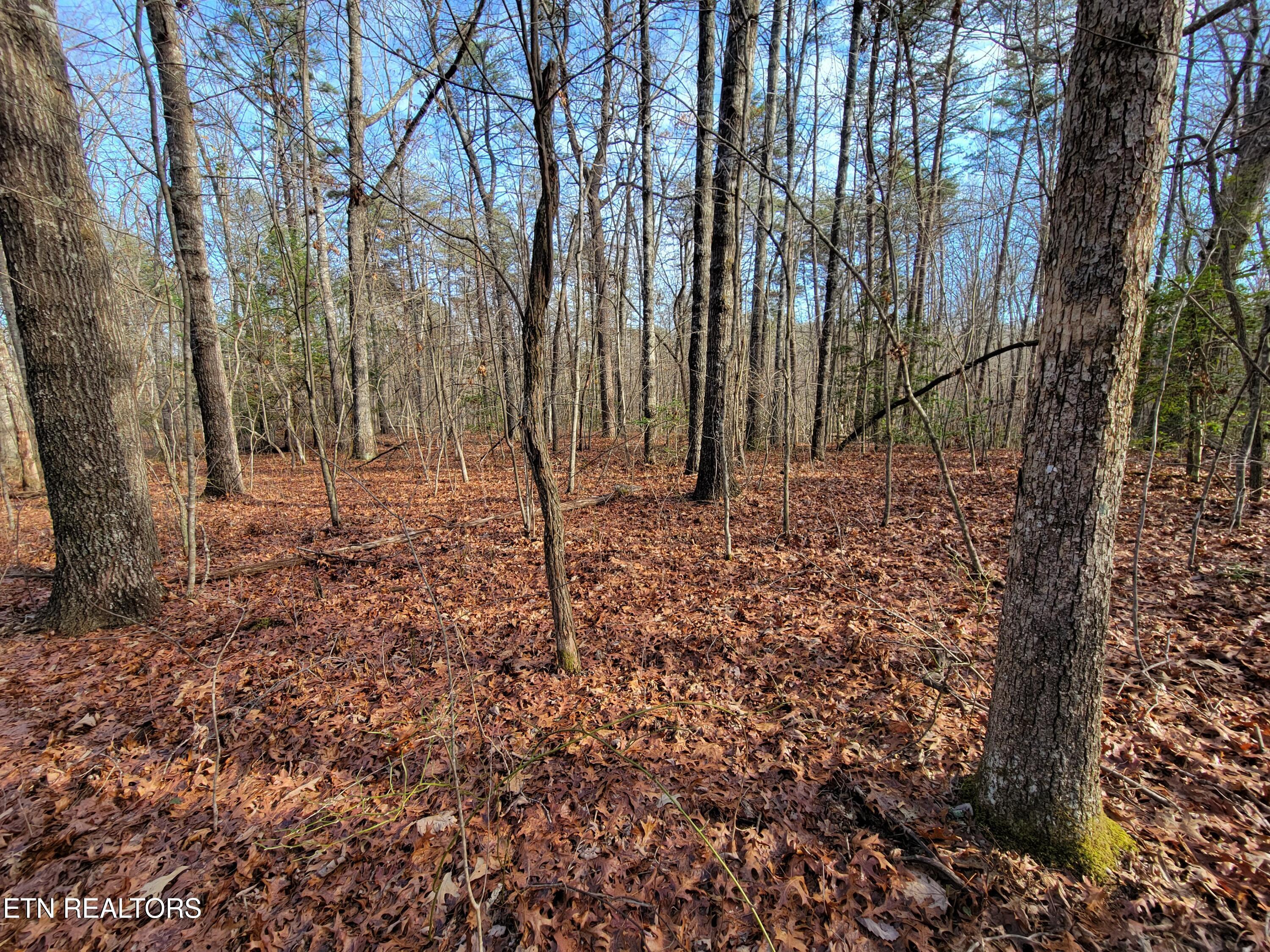 30 Laurel Loop Monterey TN 38574