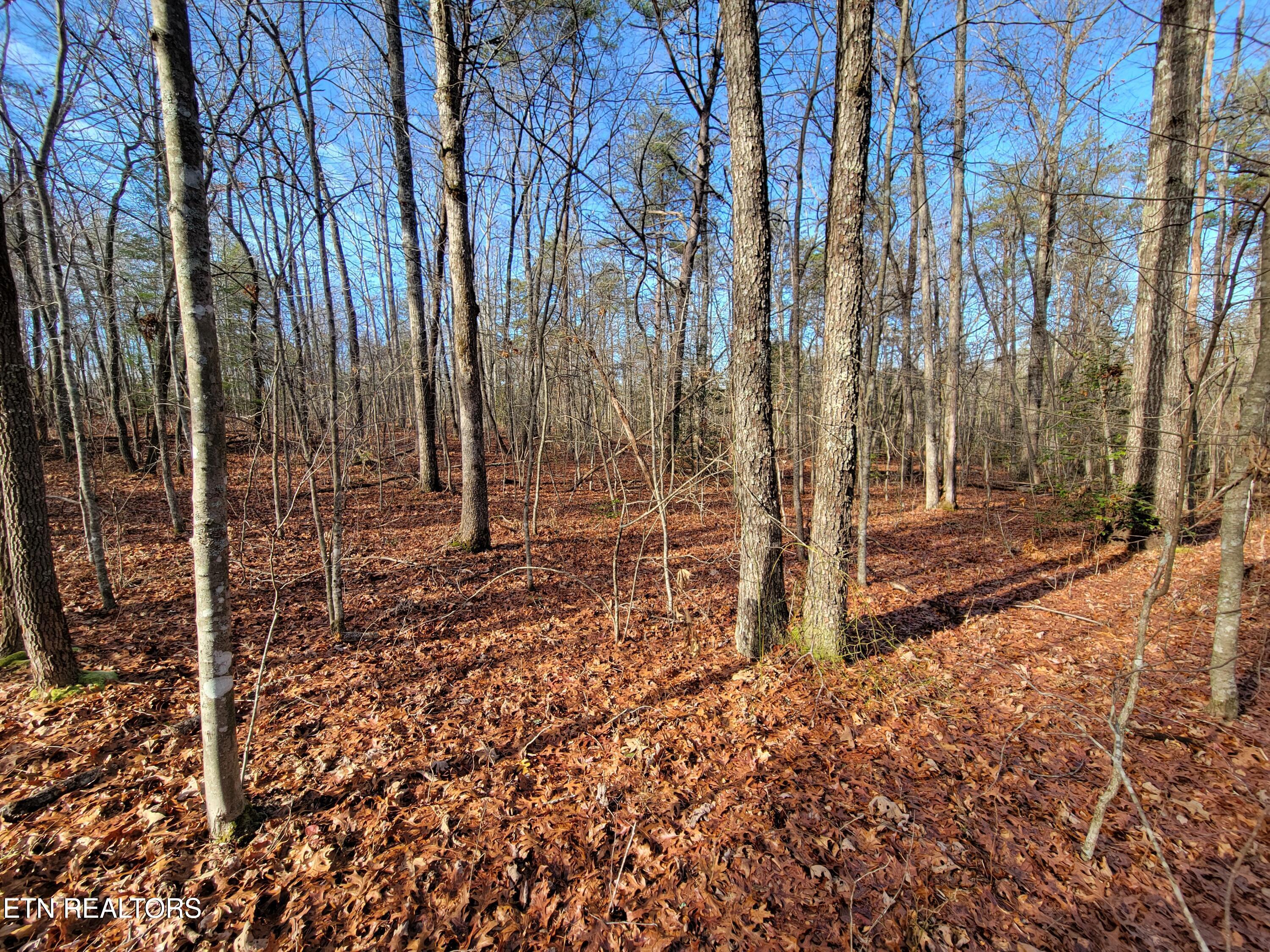 30 Laurel Loop Monterey TN 38574